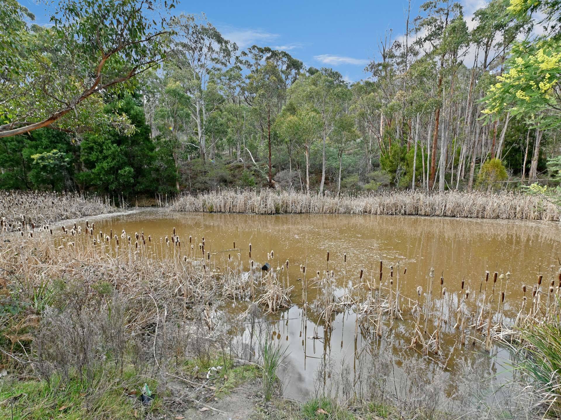 418 Ellendale Road, Fentonbury For Sale by Farmbuy.com - image 20