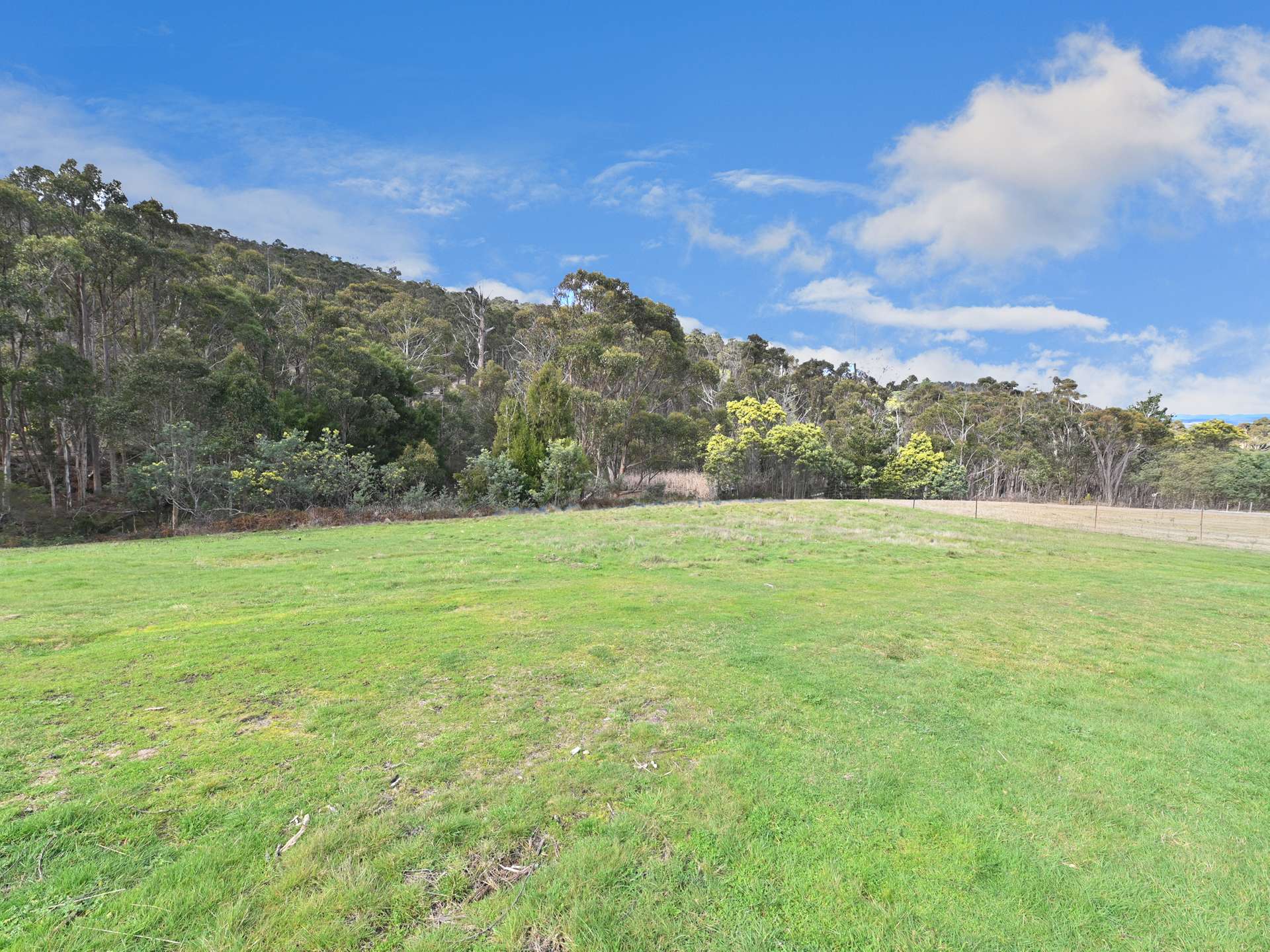 418 Ellendale Road, Fentonbury For Sale by Farmbuy.com - image 17