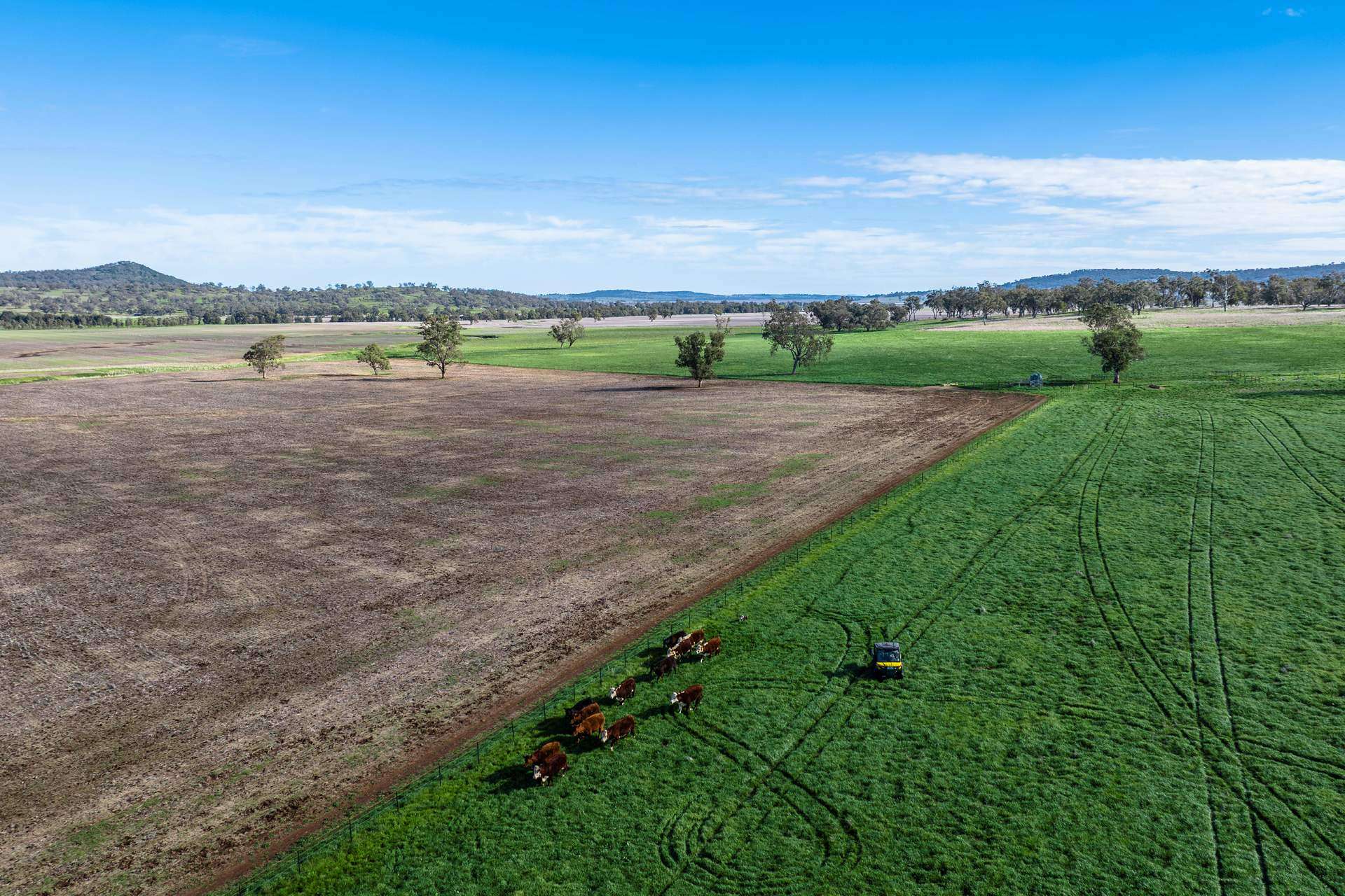 1140 Swinging Ridges Road, Willow Tree For Sale by Farmbuy.com - image 20