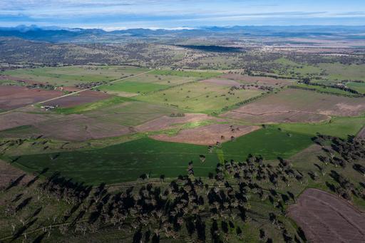 Farm For Sale - NSW - Willow Tree - 2339 - Burnley Aggregation | Proven Production. Quality Country. Exceptional improvements. 