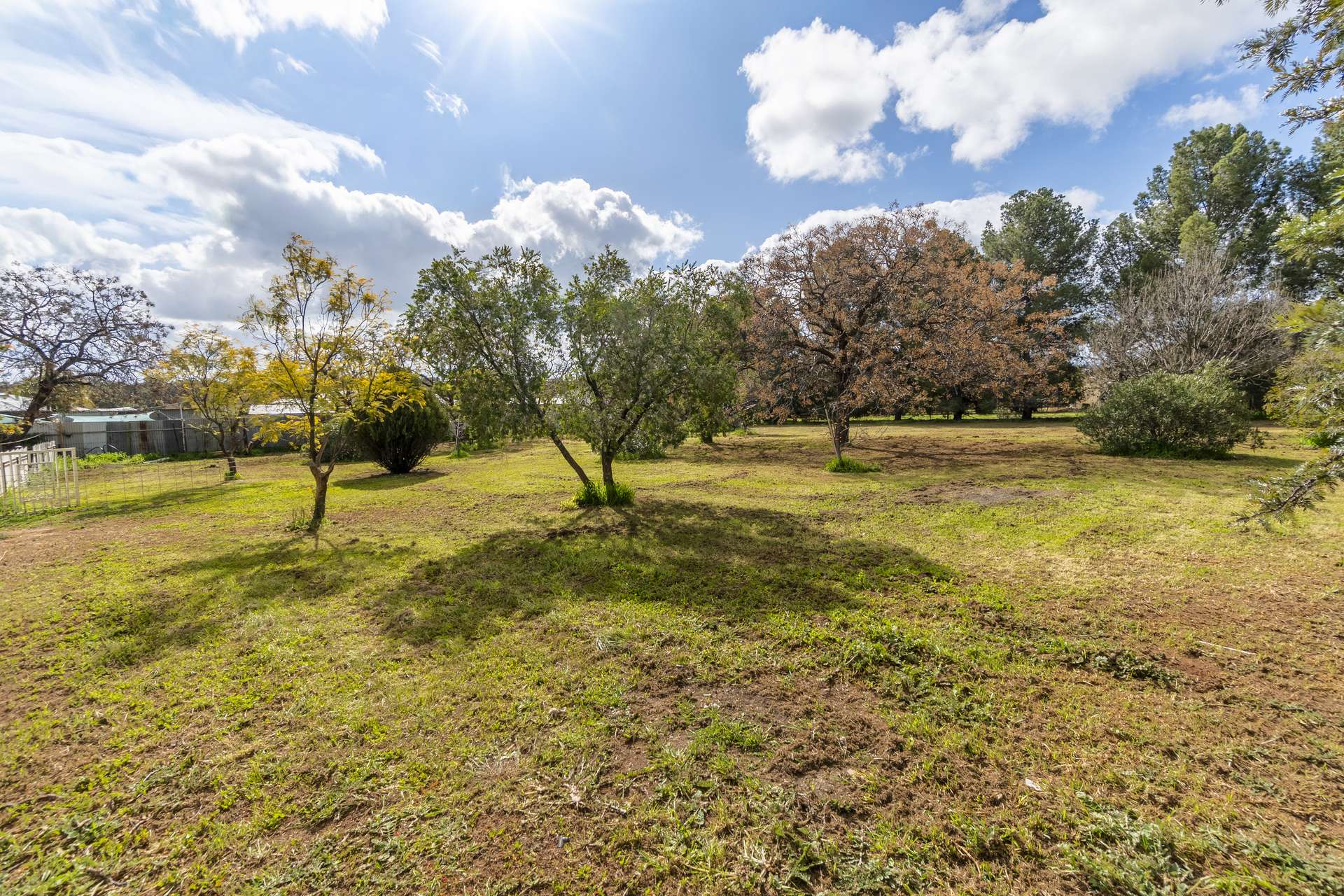 39 Iverach Street, Coolamon For Sale by Farmbuy.com - image 19