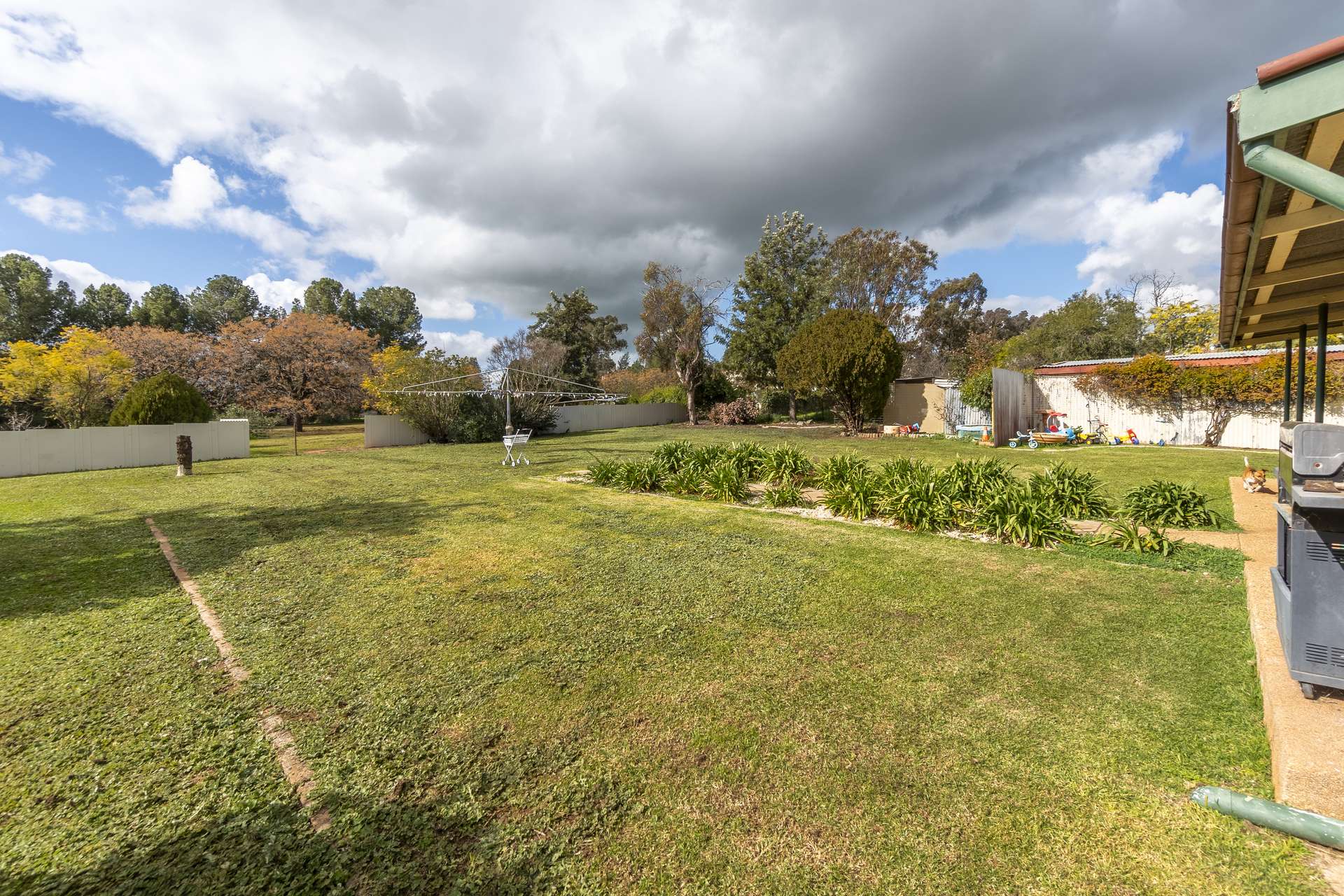 39 Iverach Street, Coolamon For Sale by Farmbuy.com - image 21