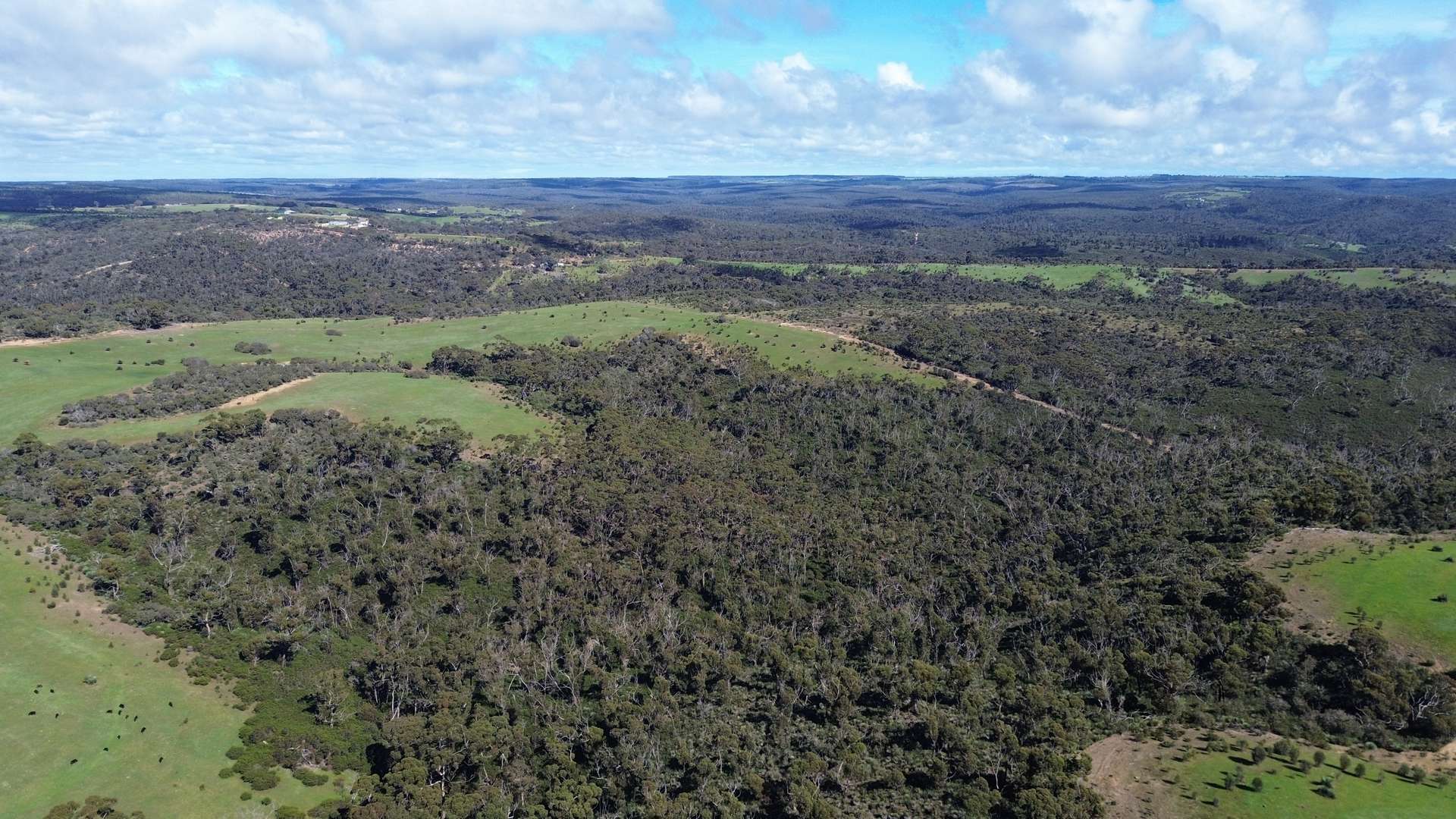 Lot 701 Western River Road, Western River For Sale by Farmbuy.com - image 10