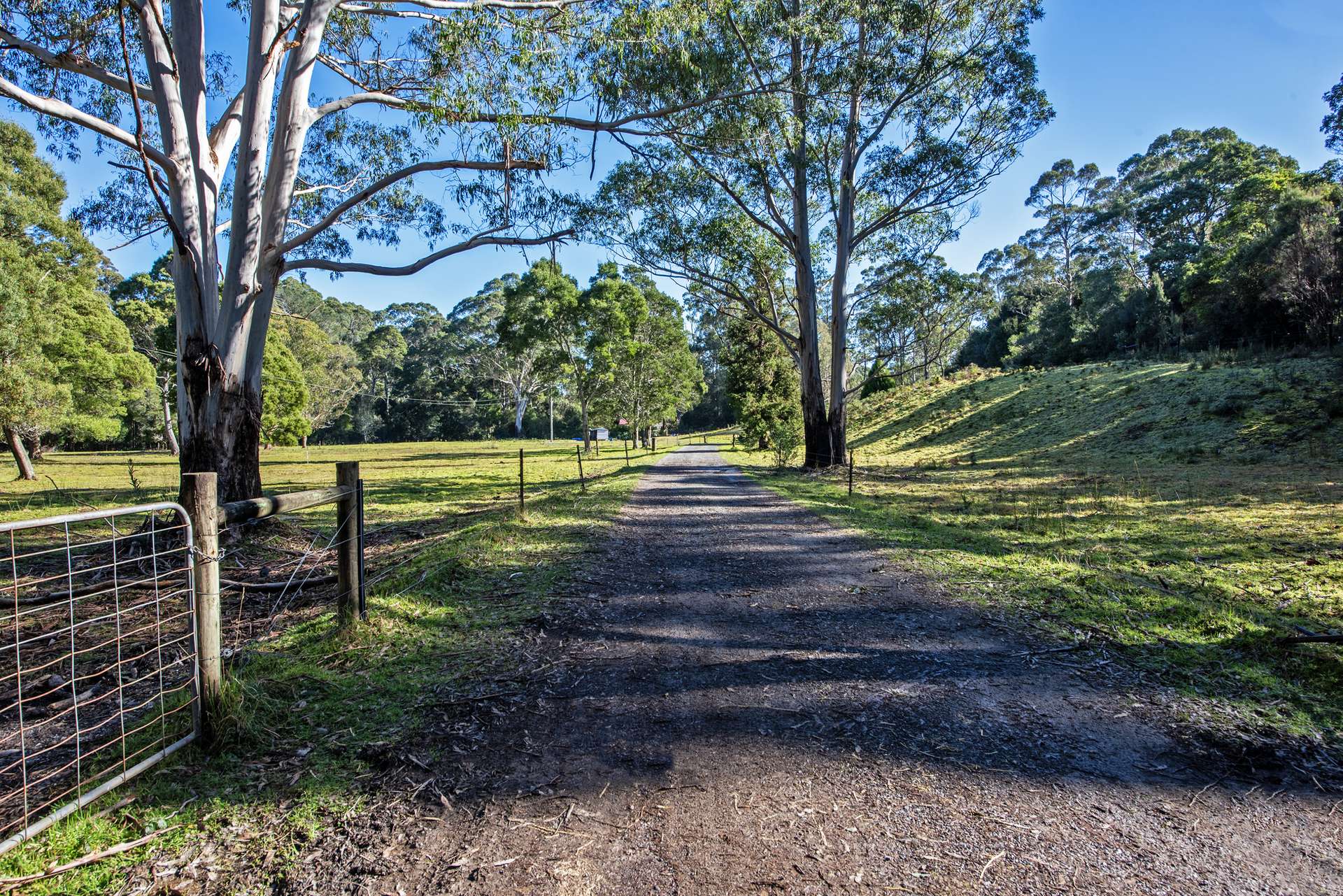 1210 Henty Road, Strahan For Sale by Farmbuy.com - image 3