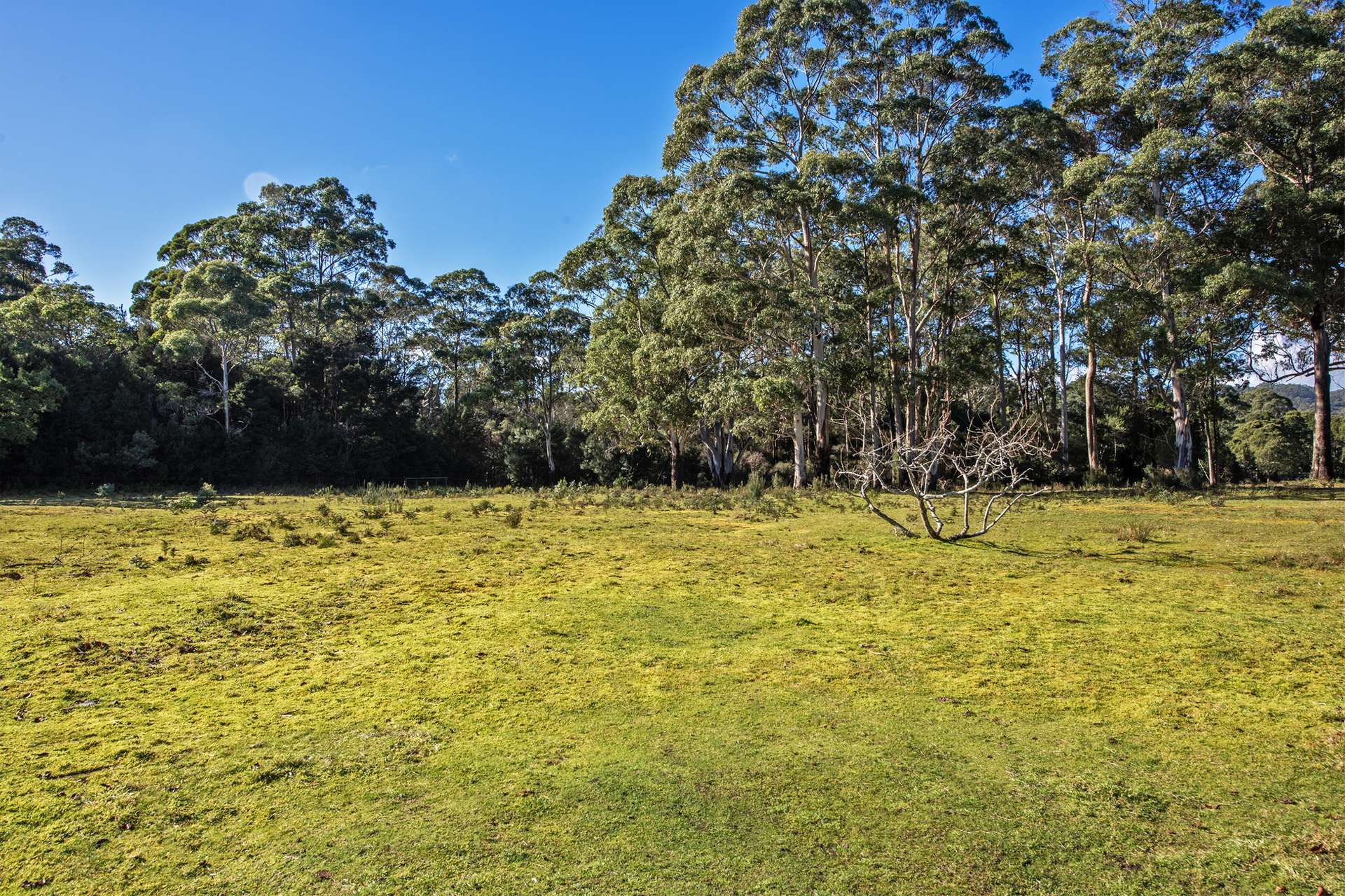 1210 Henty Road, Strahan For Sale by Farmbuy.com - image 25