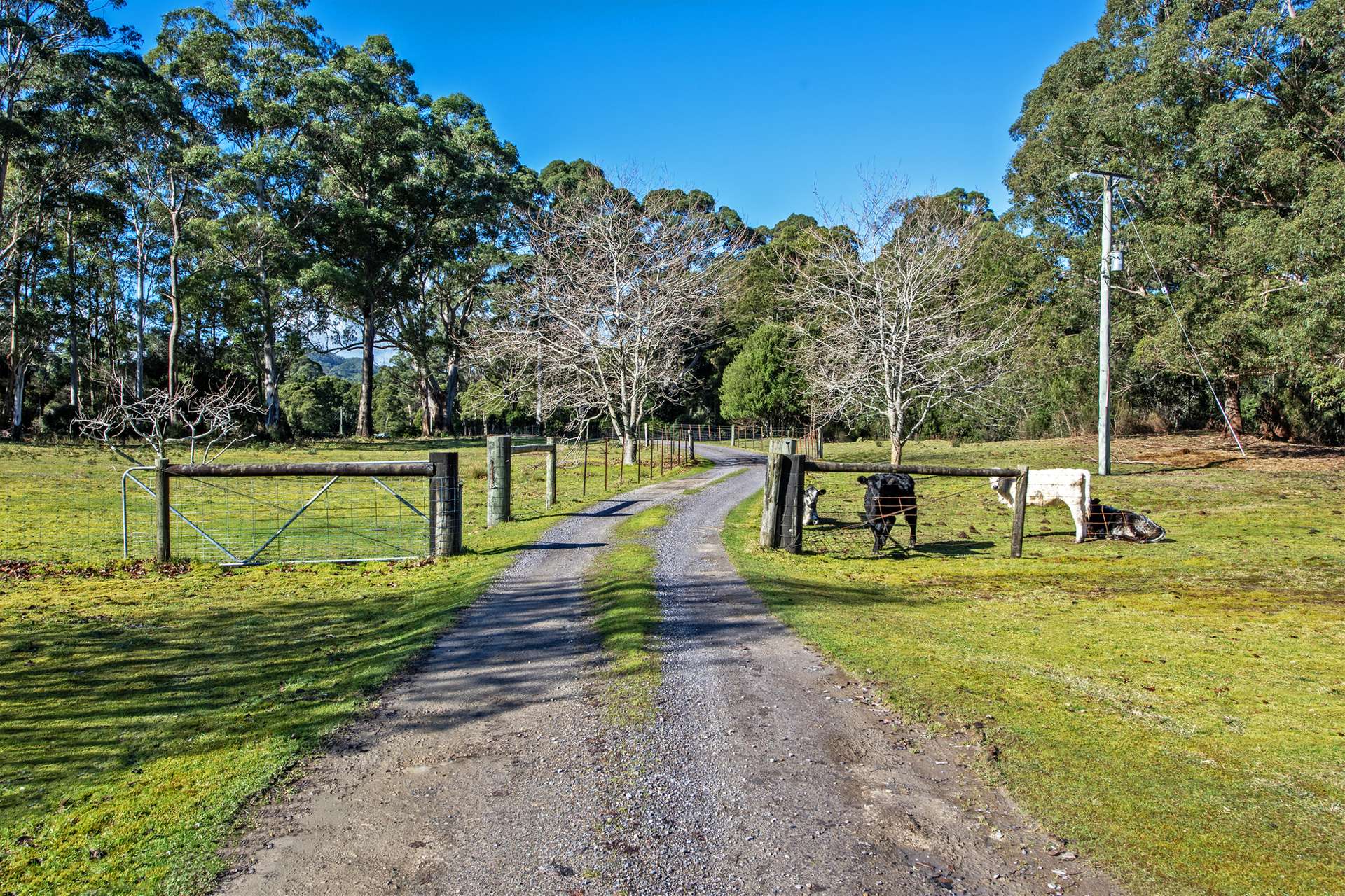 1210 Henty Road, Strahan For Sale by Farmbuy.com - image 24