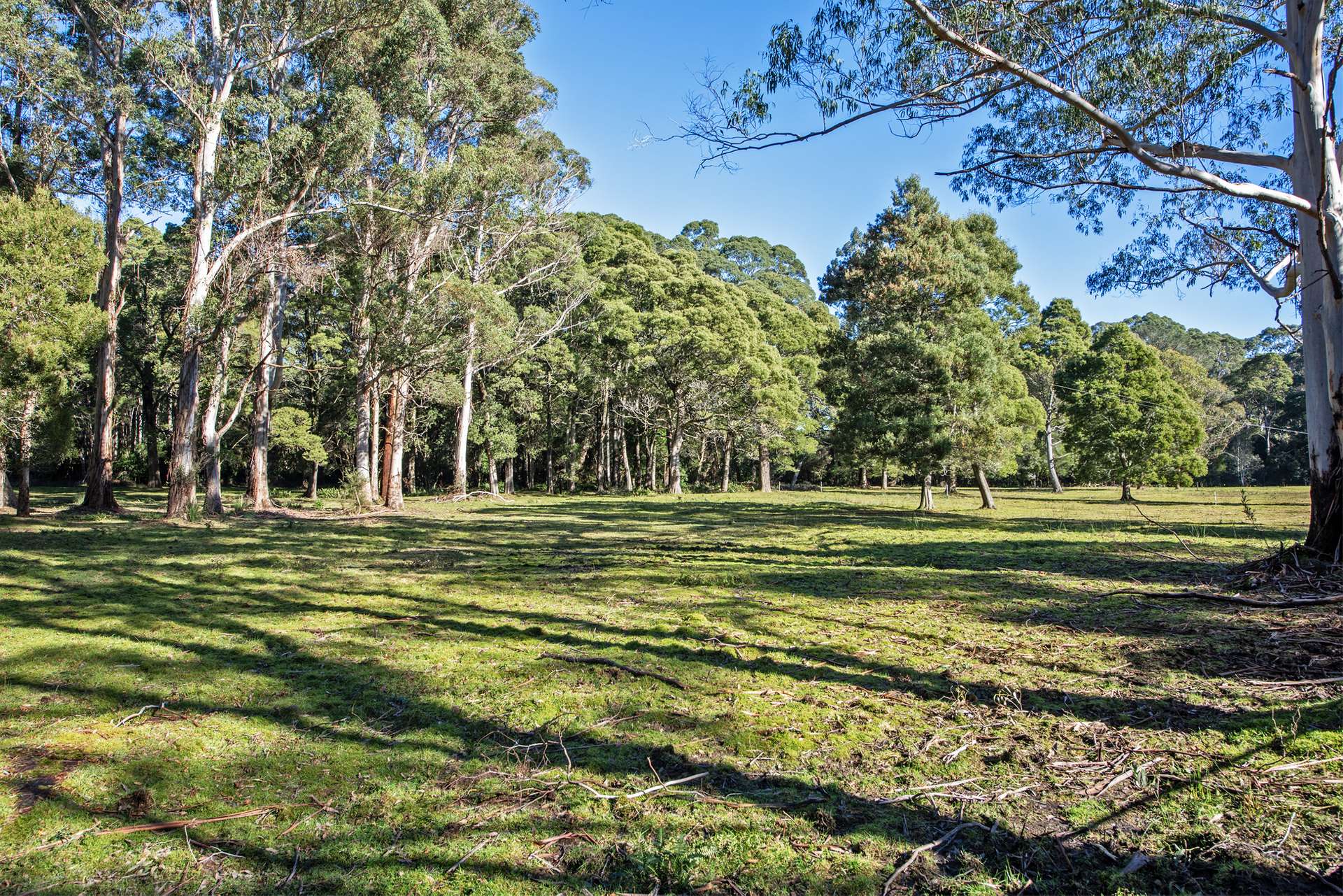 1210 Henty Road, Strahan For Sale by Farmbuy.com - image 4