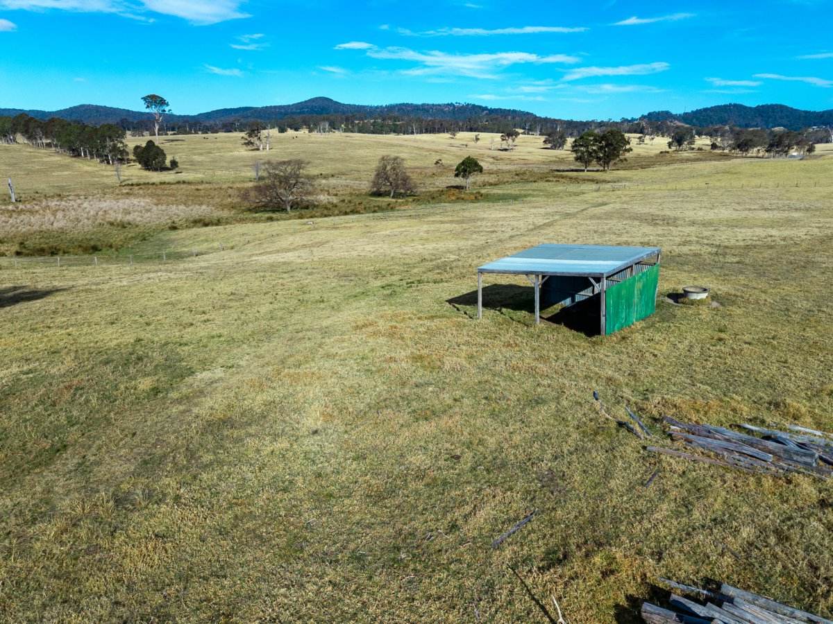 24 Wanatta Lane, Wolumla Auction by Farmbuy.com - image 22