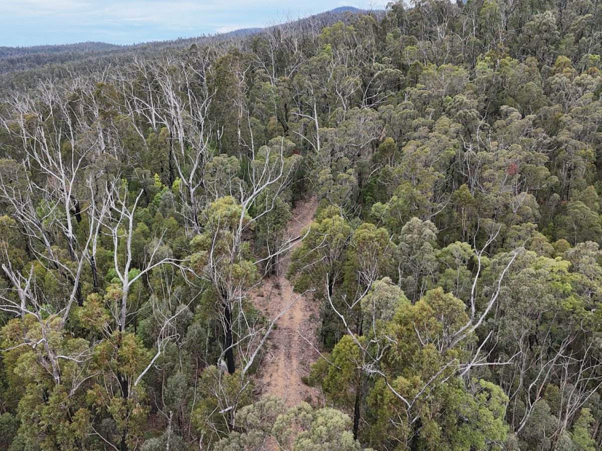 Lot 22 DP 752160 Wattlegrove Road, Cobargo For Sale by Farmbuy.com - image 8
