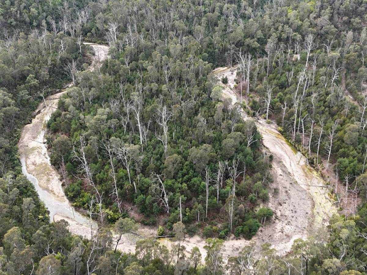 Lot 22 DP 752160 Wattlegrove Road, Cobargo For Sale by Farmbuy.com - image 5