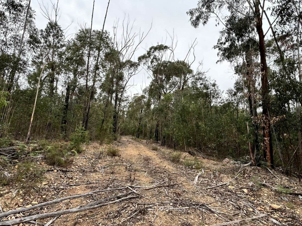 Lot 22 DP 752160 Wattlegrove Road, Cobargo For Sale by Farmbuy.com - image 2