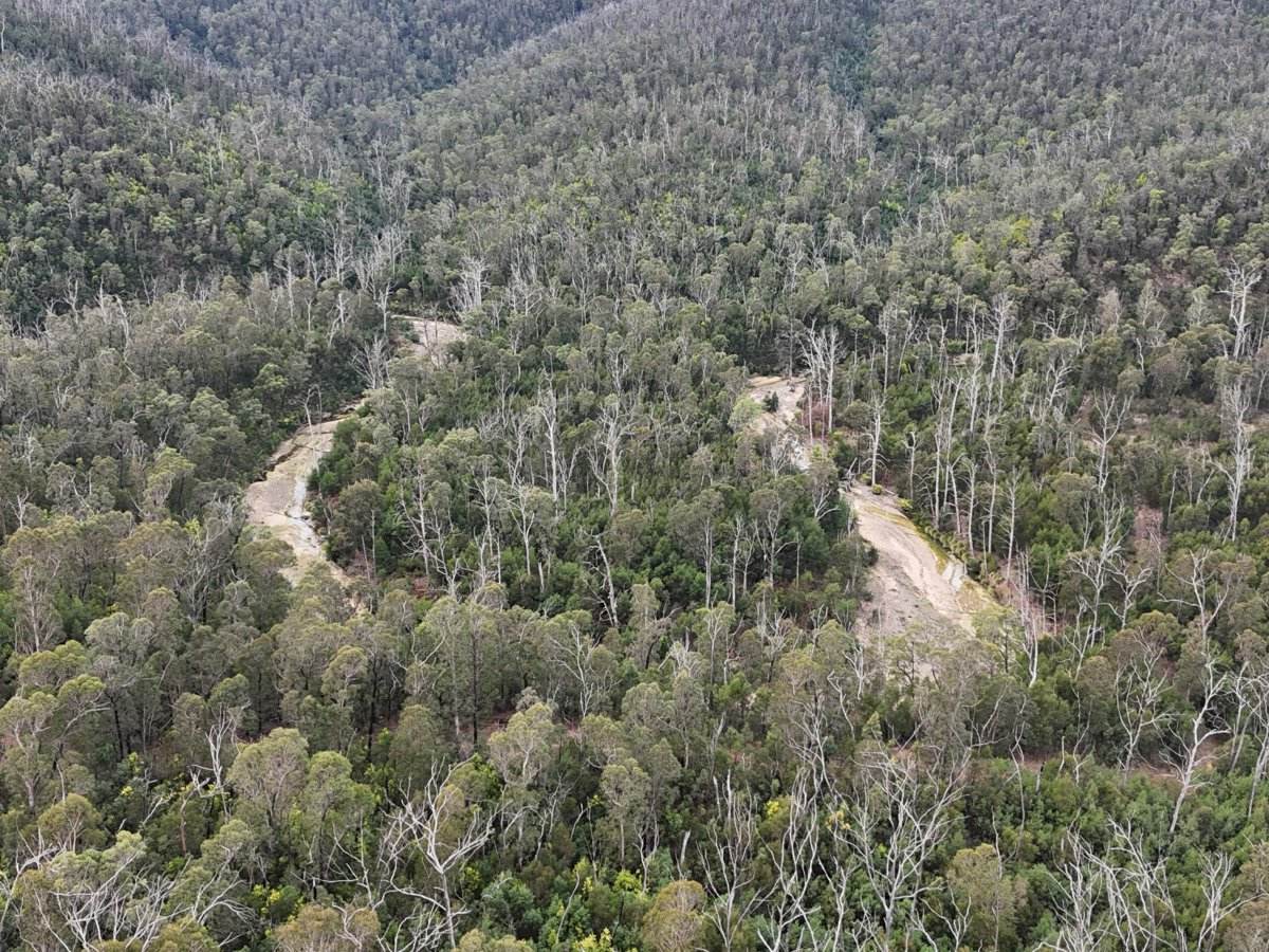Lot 22 DP 752160 Wattlegrove Road, Cobargo For Sale by Farmbuy.com - image 10