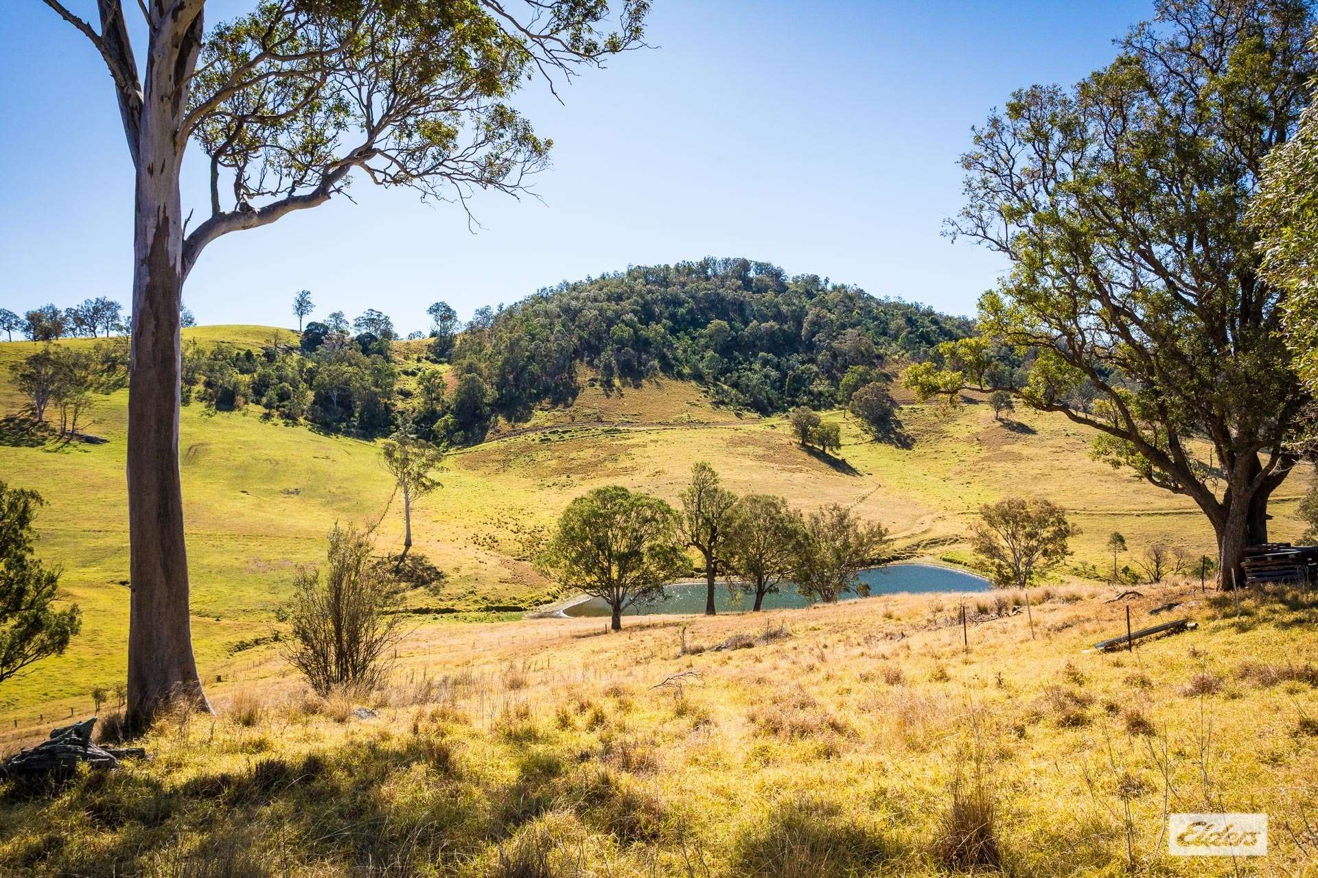 450 Tantawangalo Mountain Road, Candelo For Sale by Farmbuy.com - image 33