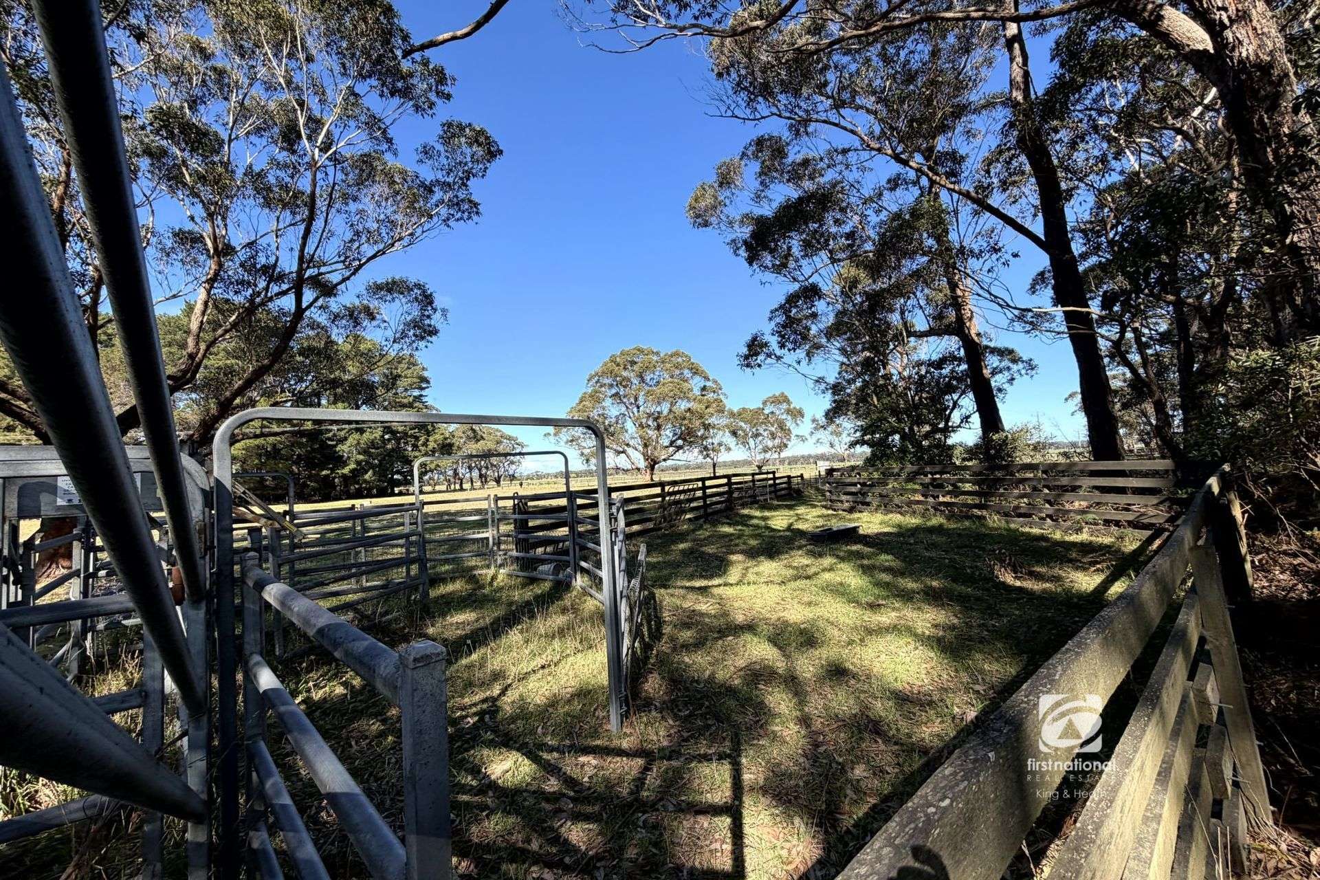 360 Marlo Plains Road, Marlo For Sale by Farmbuy.com - image 26