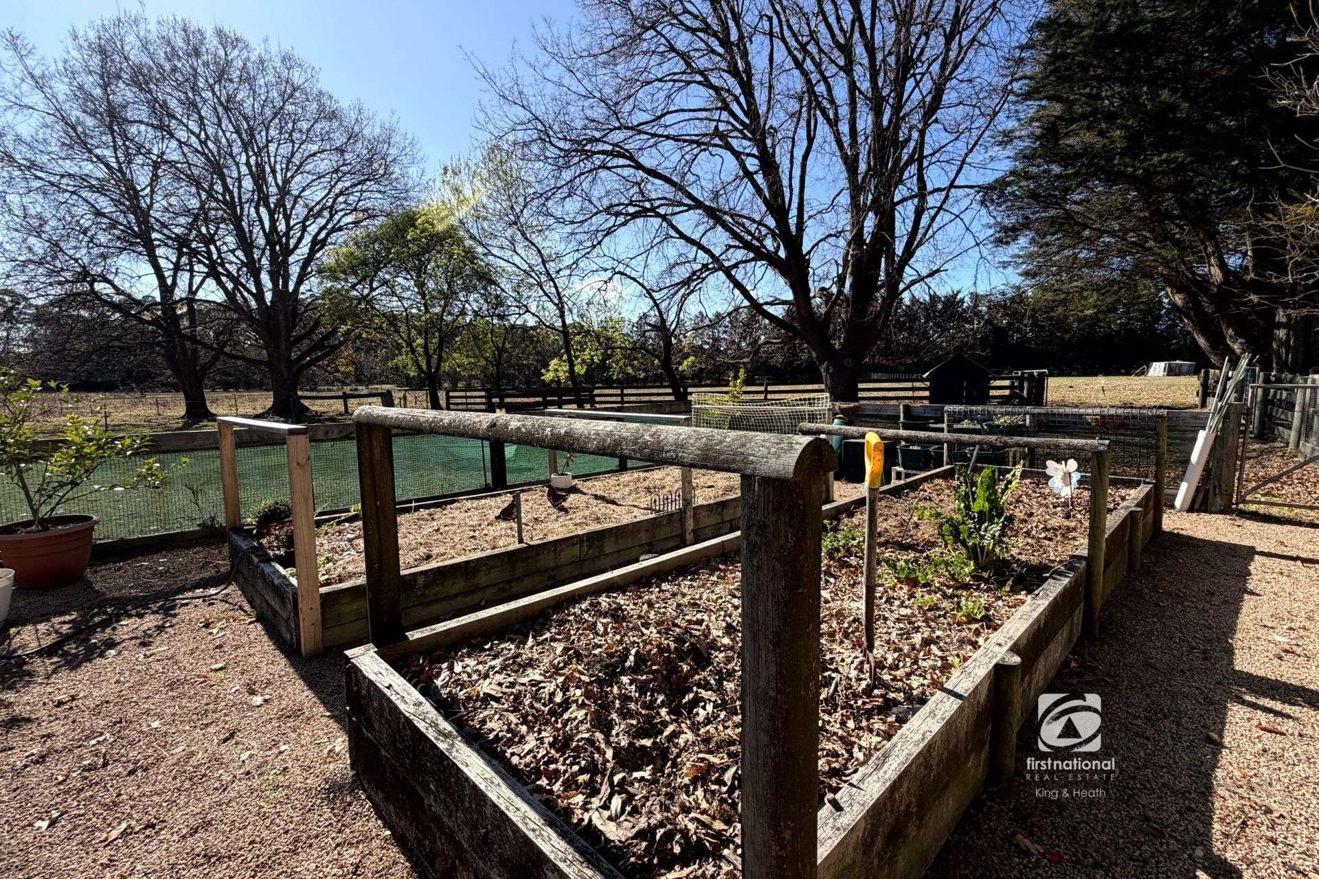 360 Marlo Plains Road, Marlo For Sale by Farmbuy.com - image 20