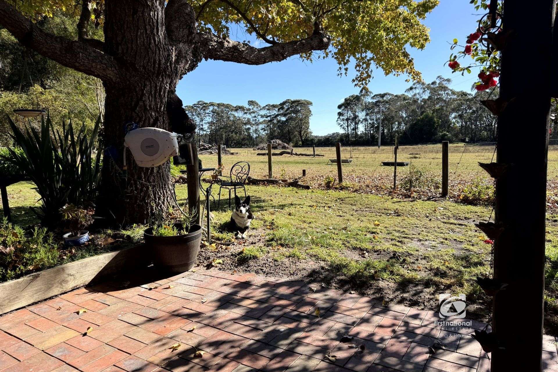 360 Marlo Plains Road, Marlo For Sale by Farmbuy.com - image 12