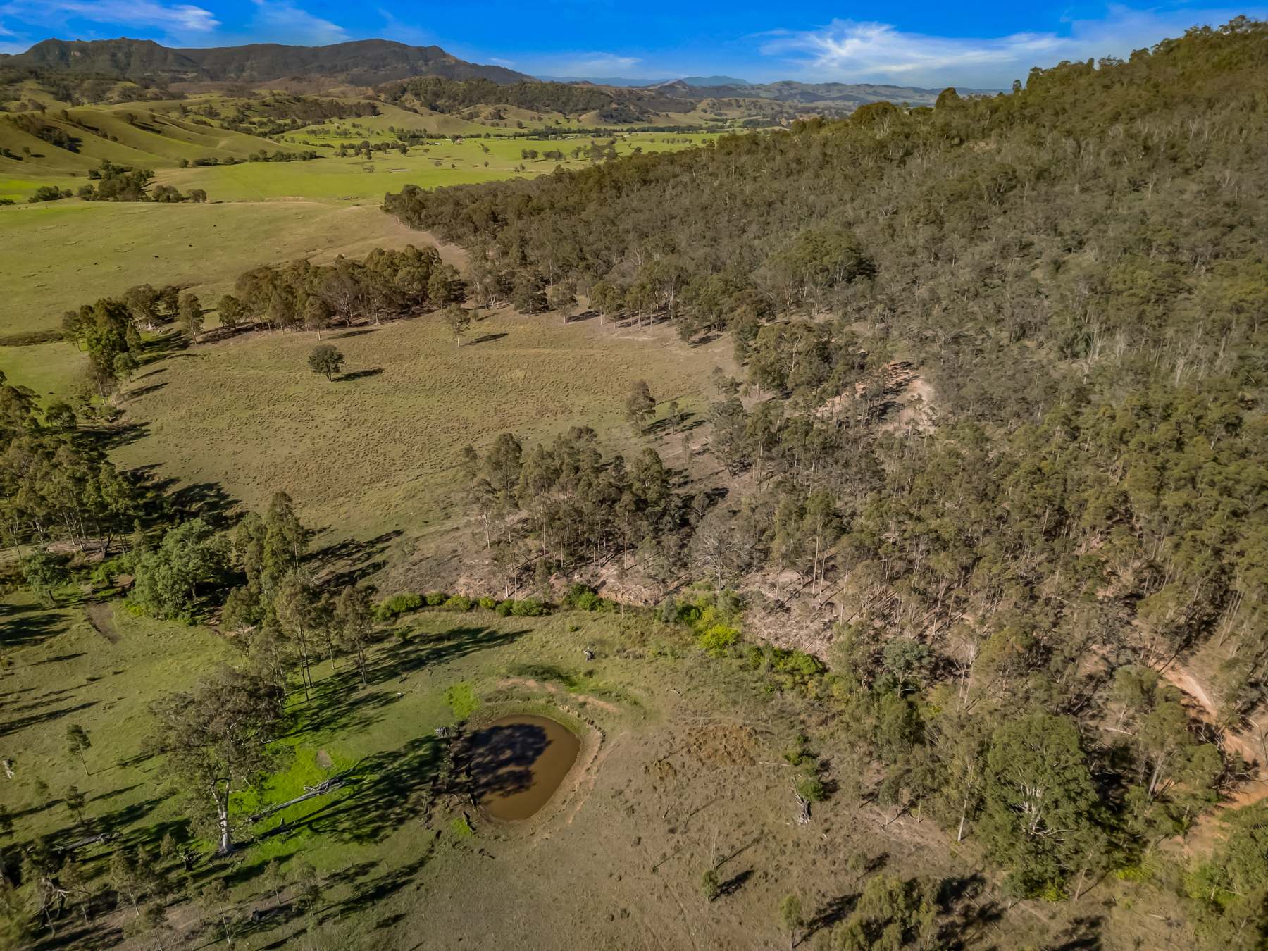 Off Goorangoola Road Greenlands, Singleton For Sale by Farmbuy.com - image 7