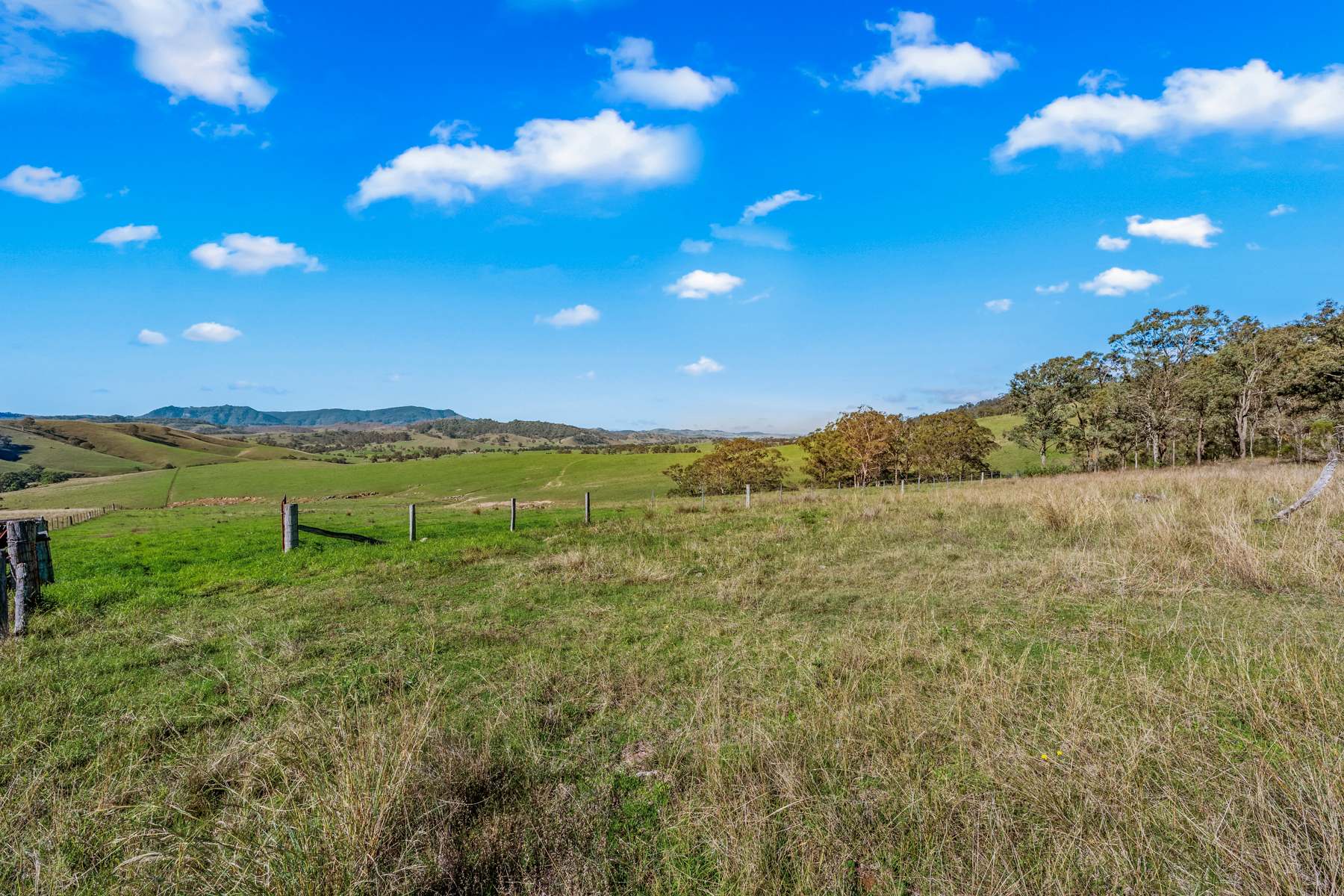 Off Goorangoola Road Greenlands, Singleton For Sale by Farmbuy.com - image 14
