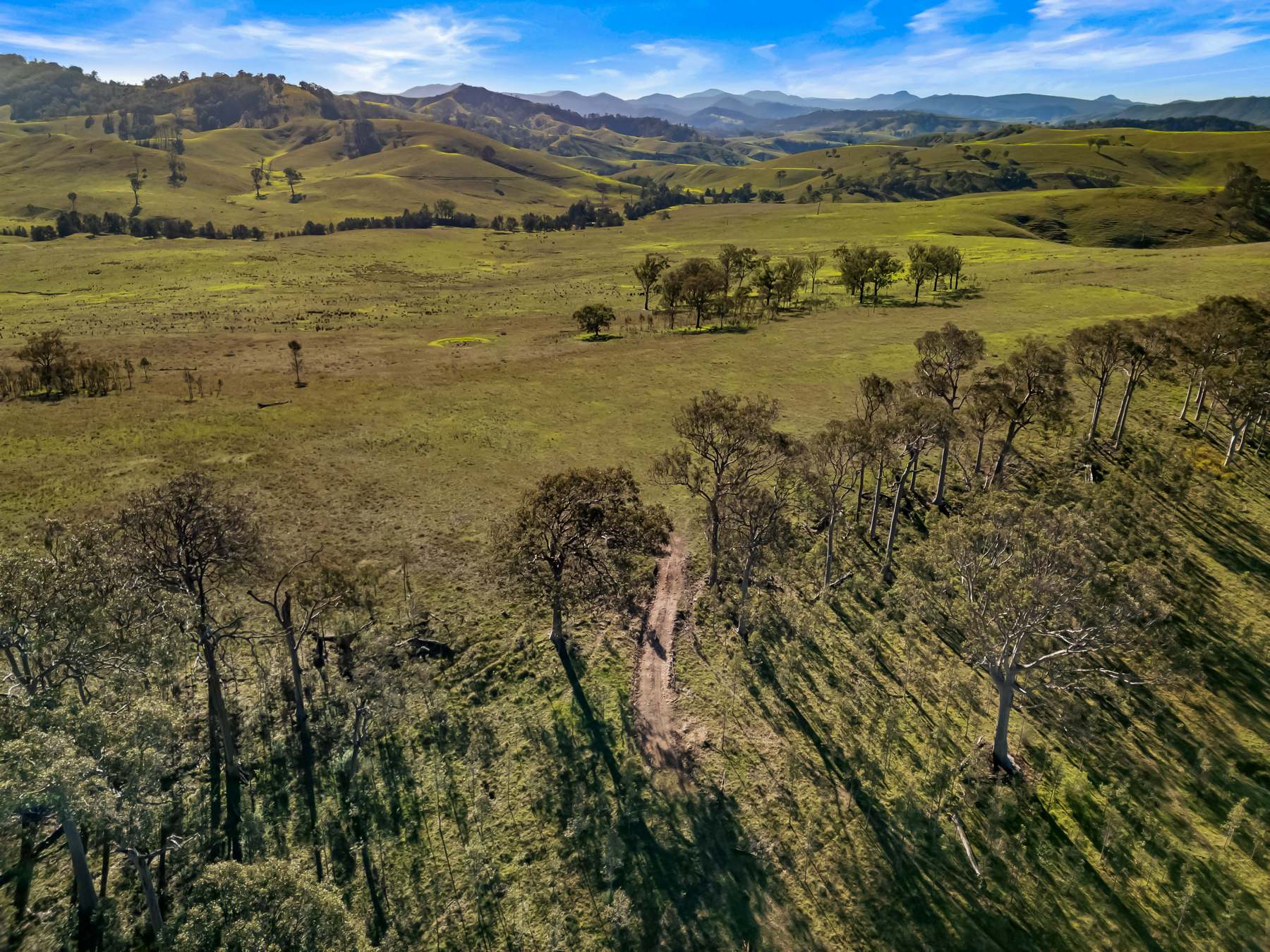 Off Goorangoola Road Greenlands, Singleton For Sale by Farmbuy.com - image 10