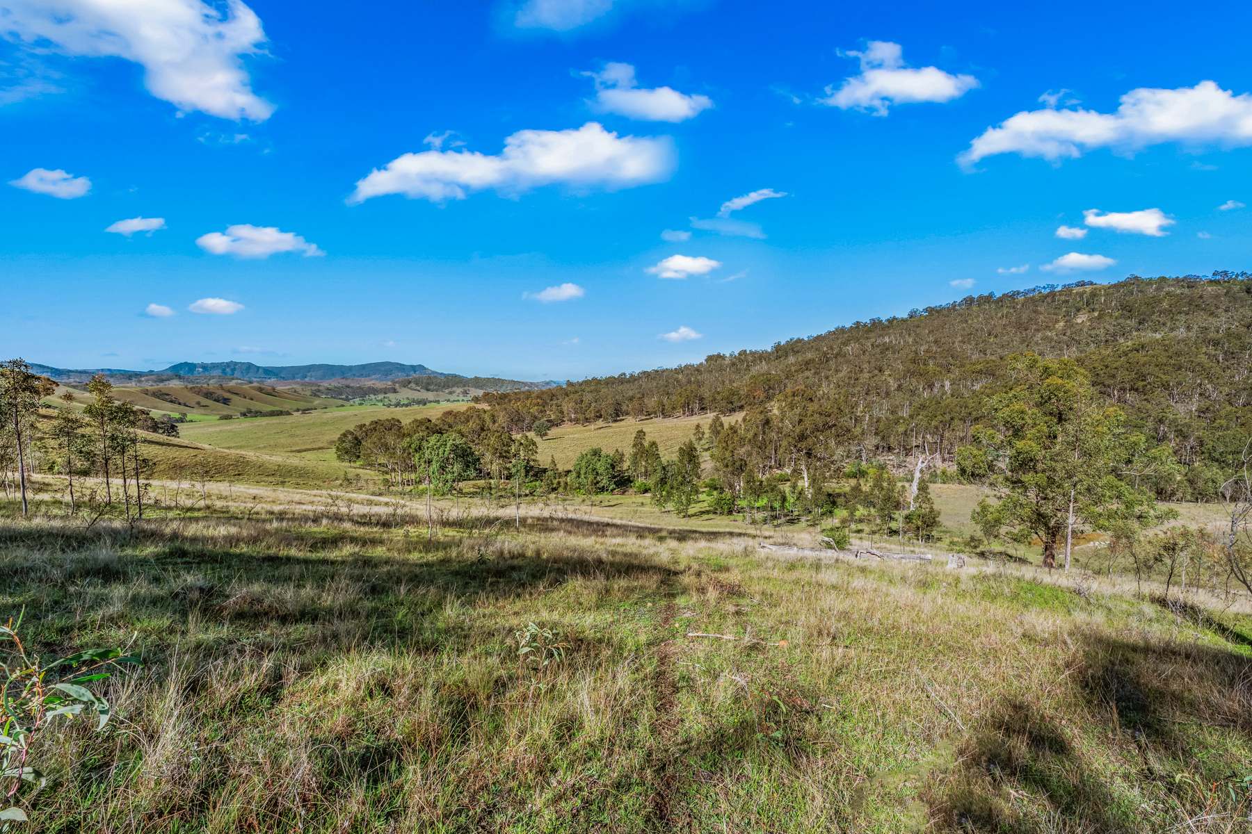 Off Goorangoola Road Greenlands, Singleton For Sale by Farmbuy.com - image 3
