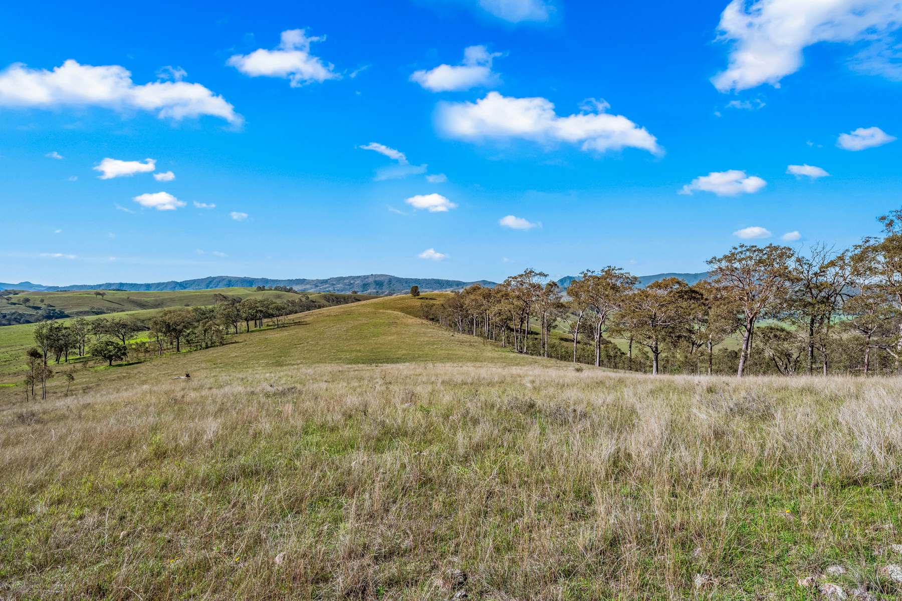 Off Goorangoola Road Greenlands, Singleton For Sale by Farmbuy.com - image 1