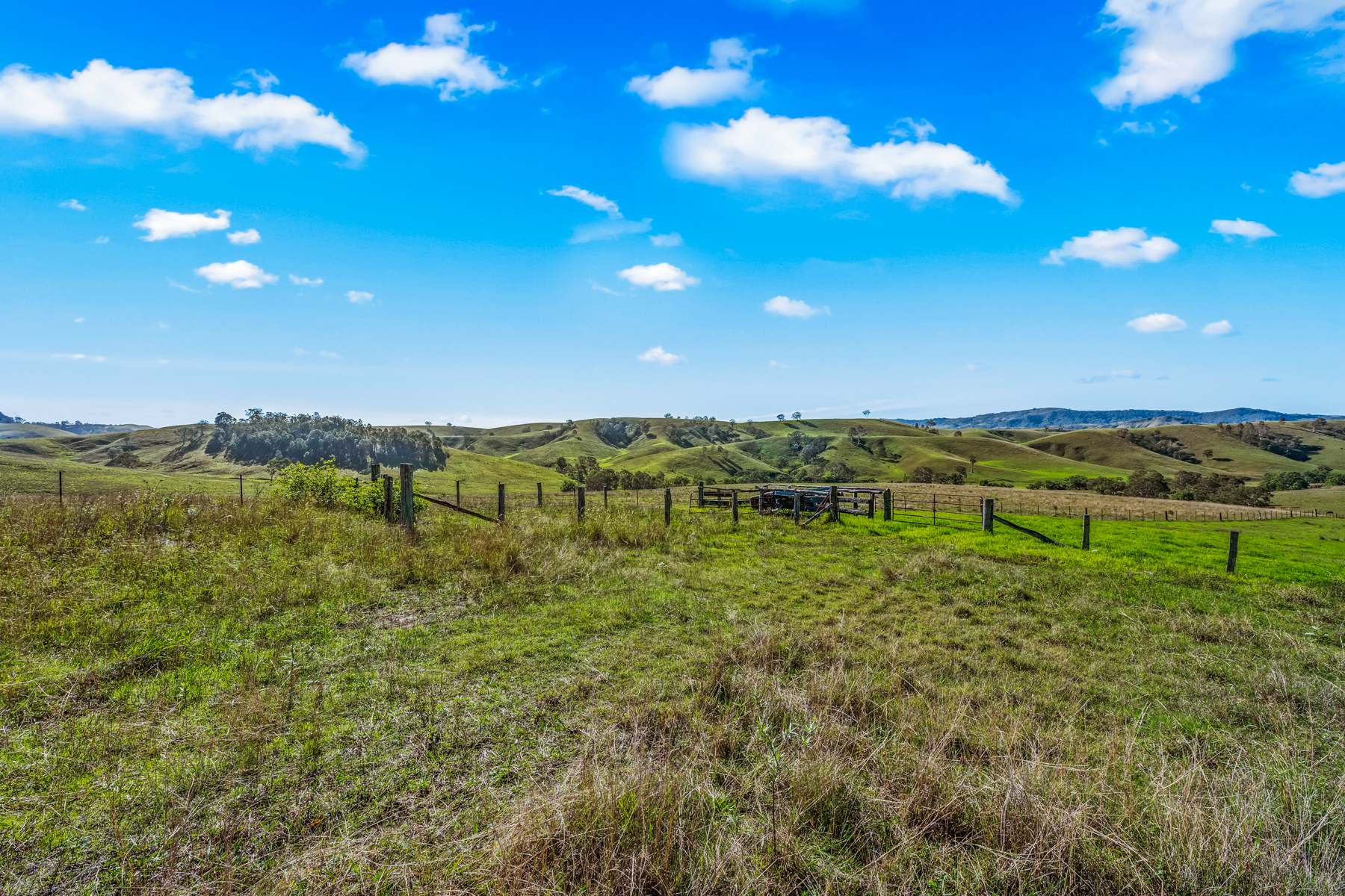 Off Goorangoola Road Greenlands, Singleton For Sale by Farmbuy.com - image 17