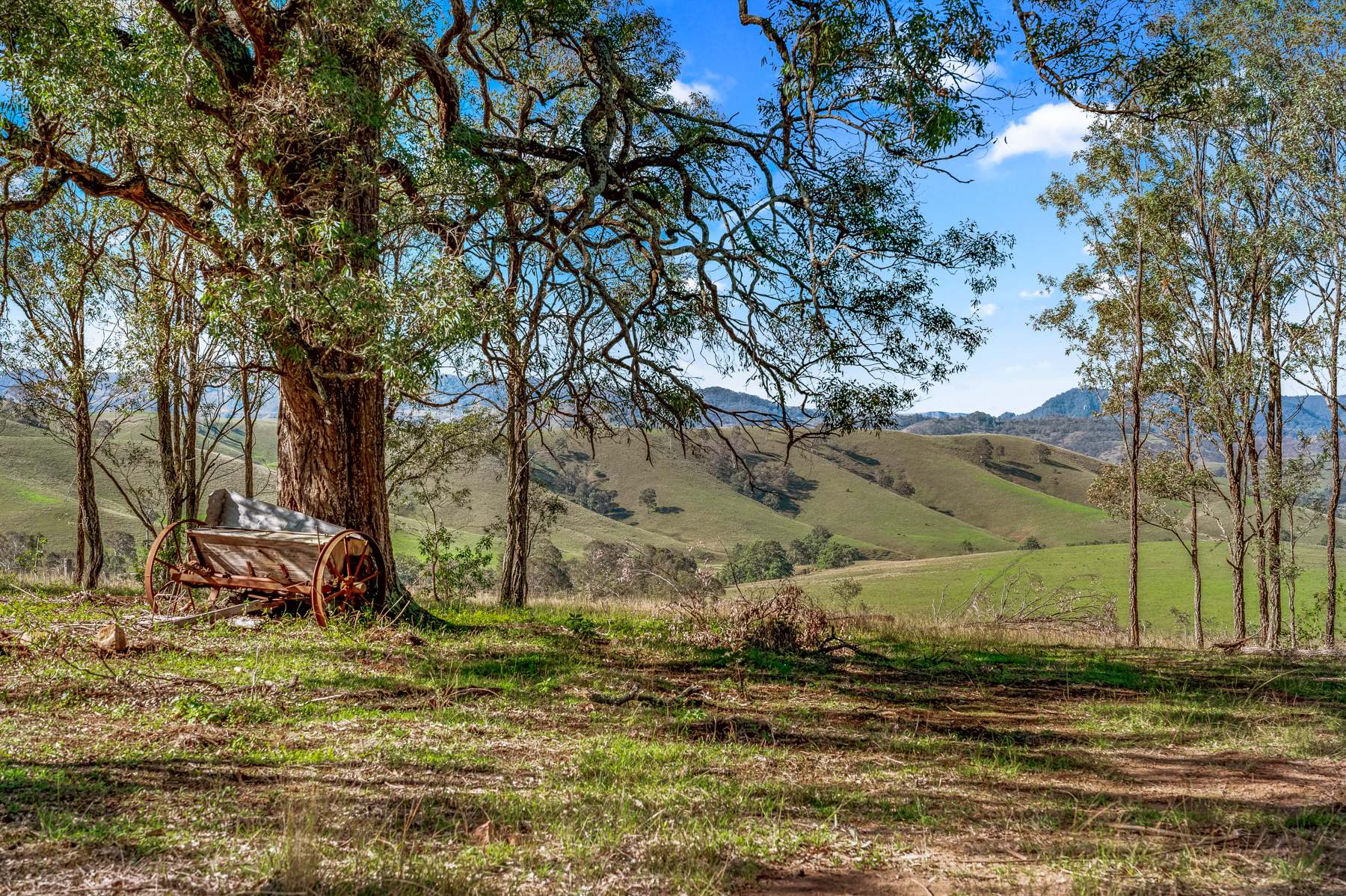 Off Goorangoola Road Greenlands, Singleton For Sale by Farmbuy.com - image 19