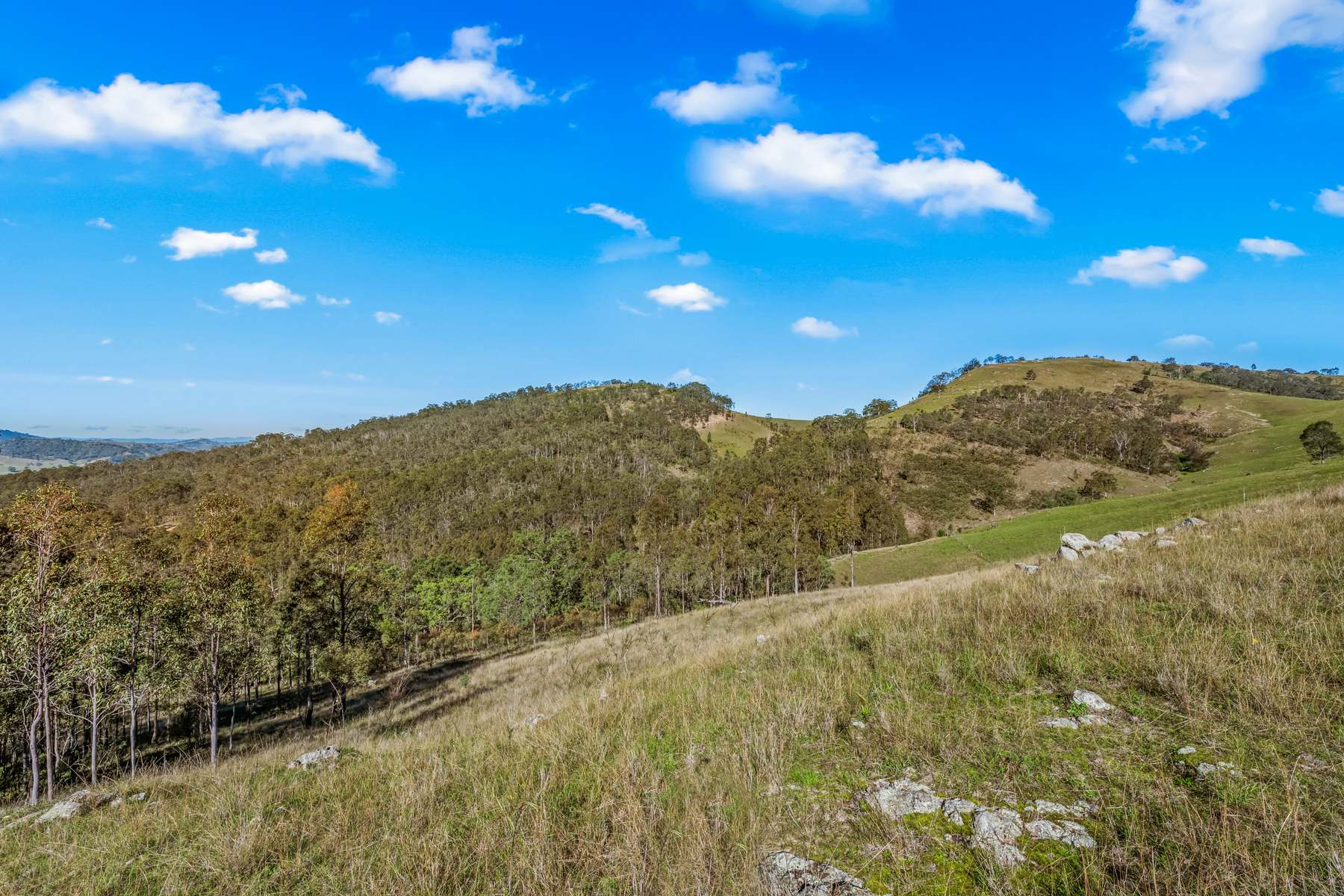 Off Goorangoola Road Greenlands, Singleton For Sale by Farmbuy.com - image 4