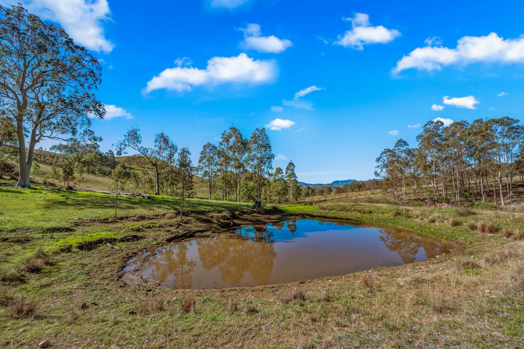Off Goorangoola Road Greenlands, Singleton For Sale by Farmbuy.com - image 6