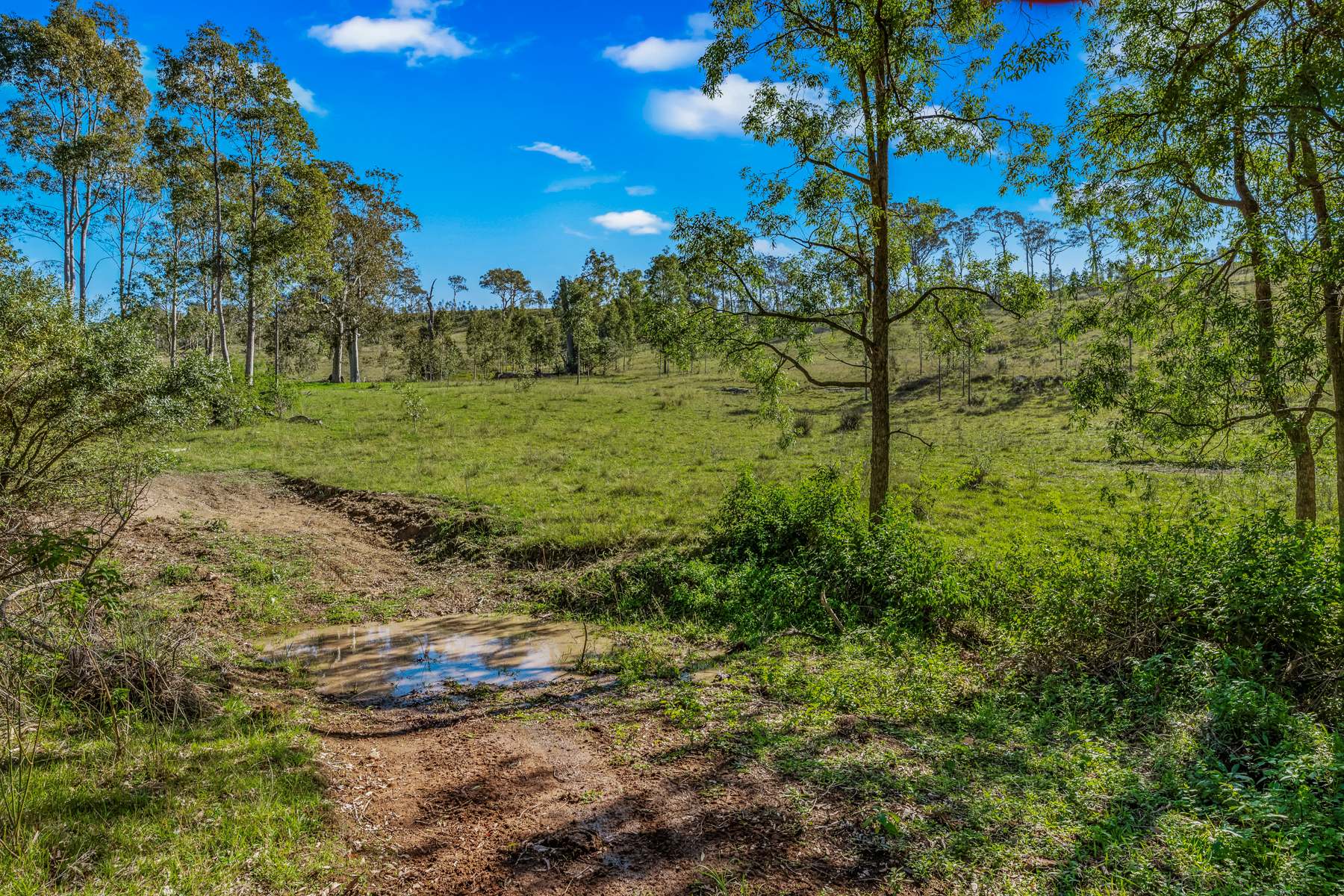Off Goorangoola Road Greenlands, Singleton For Sale by Farmbuy.com - image 13