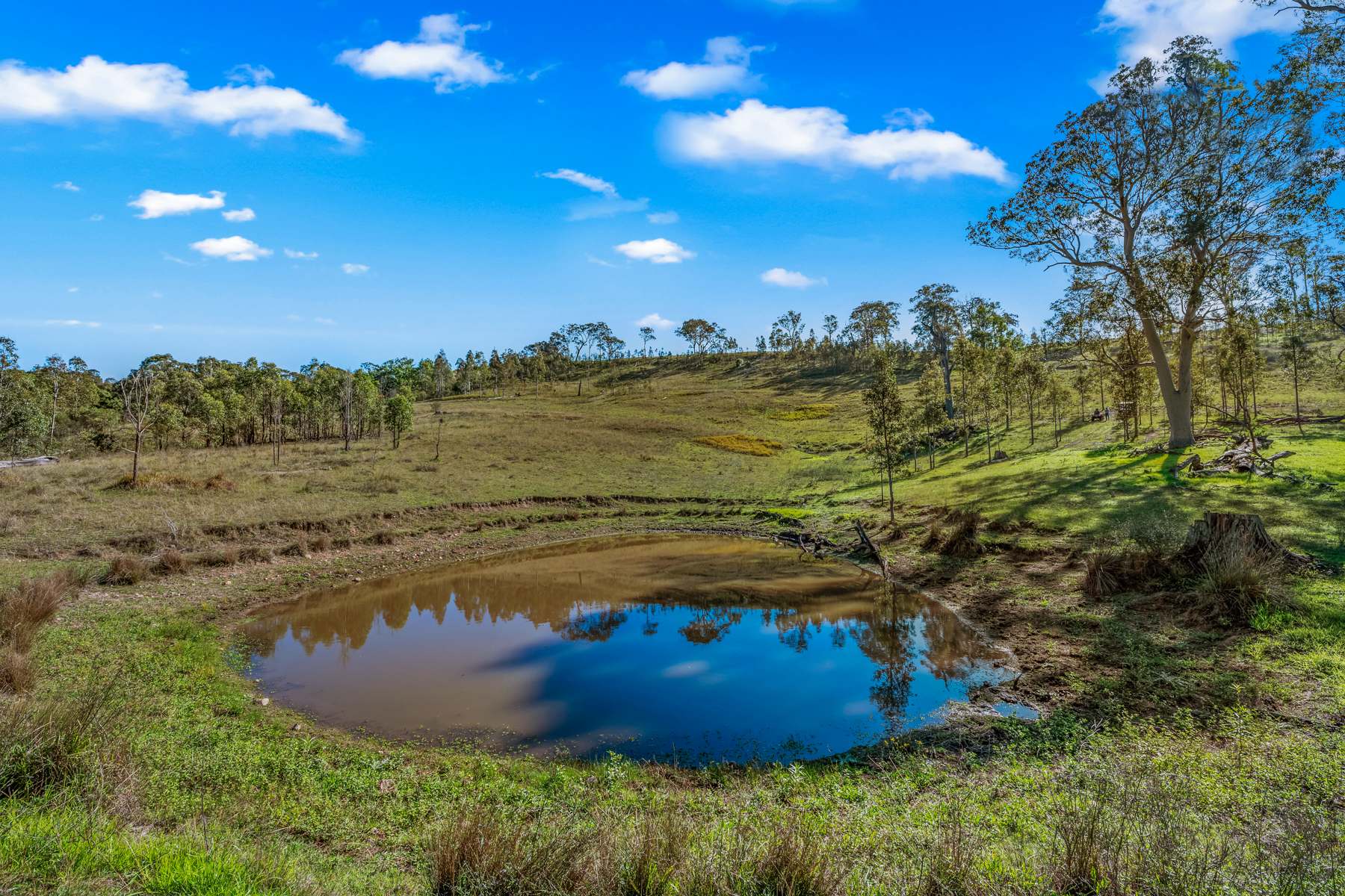 Off Goorangoola Road Greenlands, Singleton For Sale by Farmbuy.com - image 11