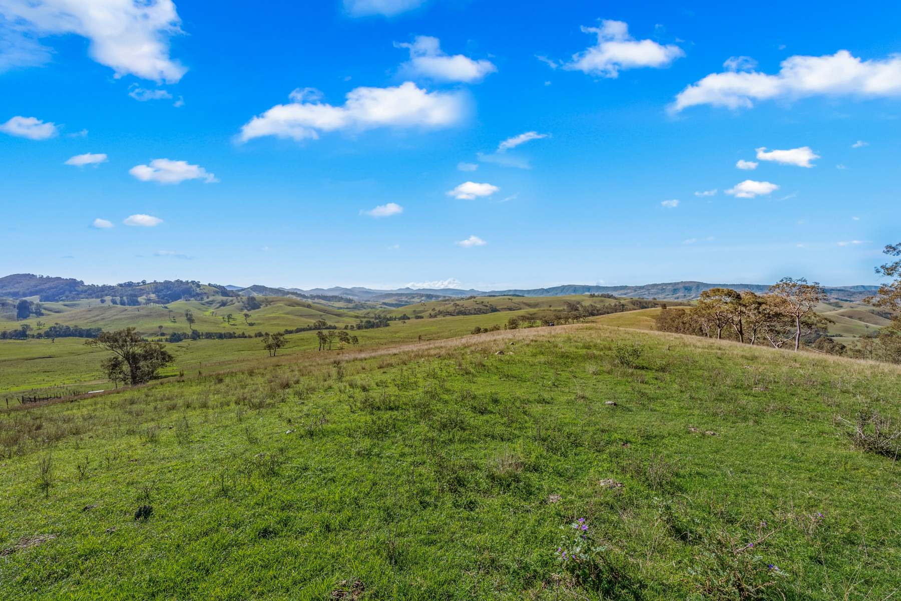 Off Goorangoola Road Greenlands, Singleton For Sale by Farmbuy.com - image 5