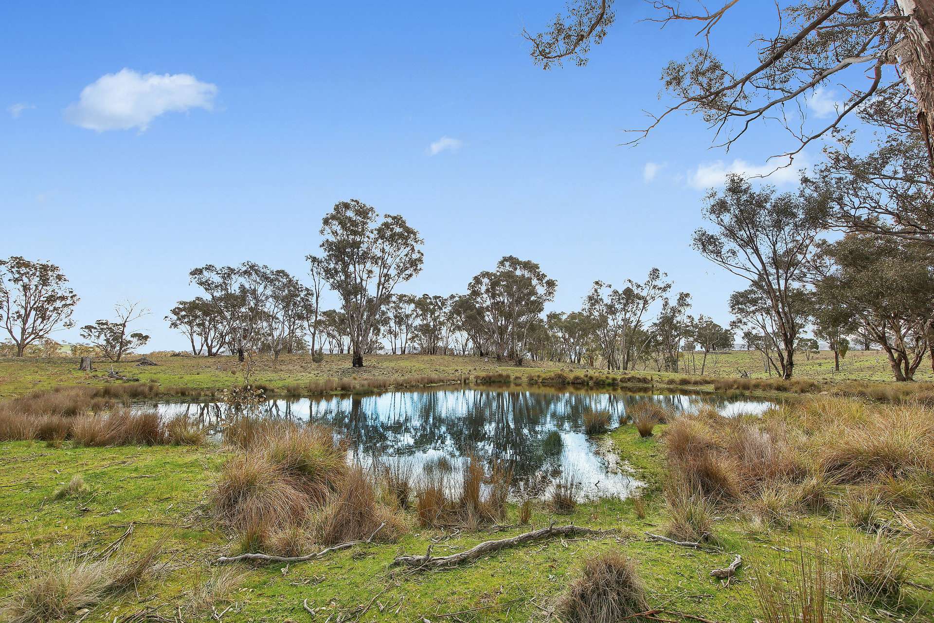 Lot 1301, Queens Pinch Road, Mudgee For Sale by Farmbuy.com - image 9