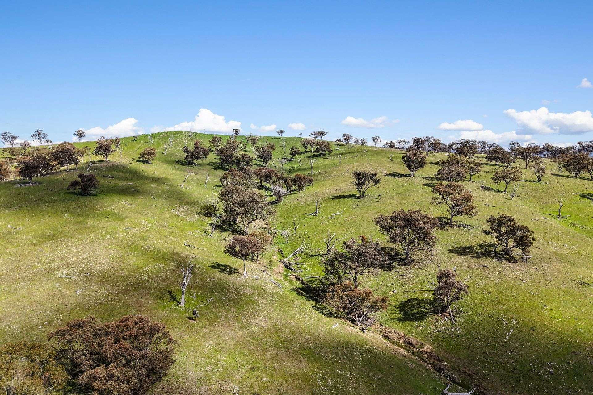 Lot 1301, Queens Pinch Road, Mudgee For Sale by Farmbuy.com - image 3