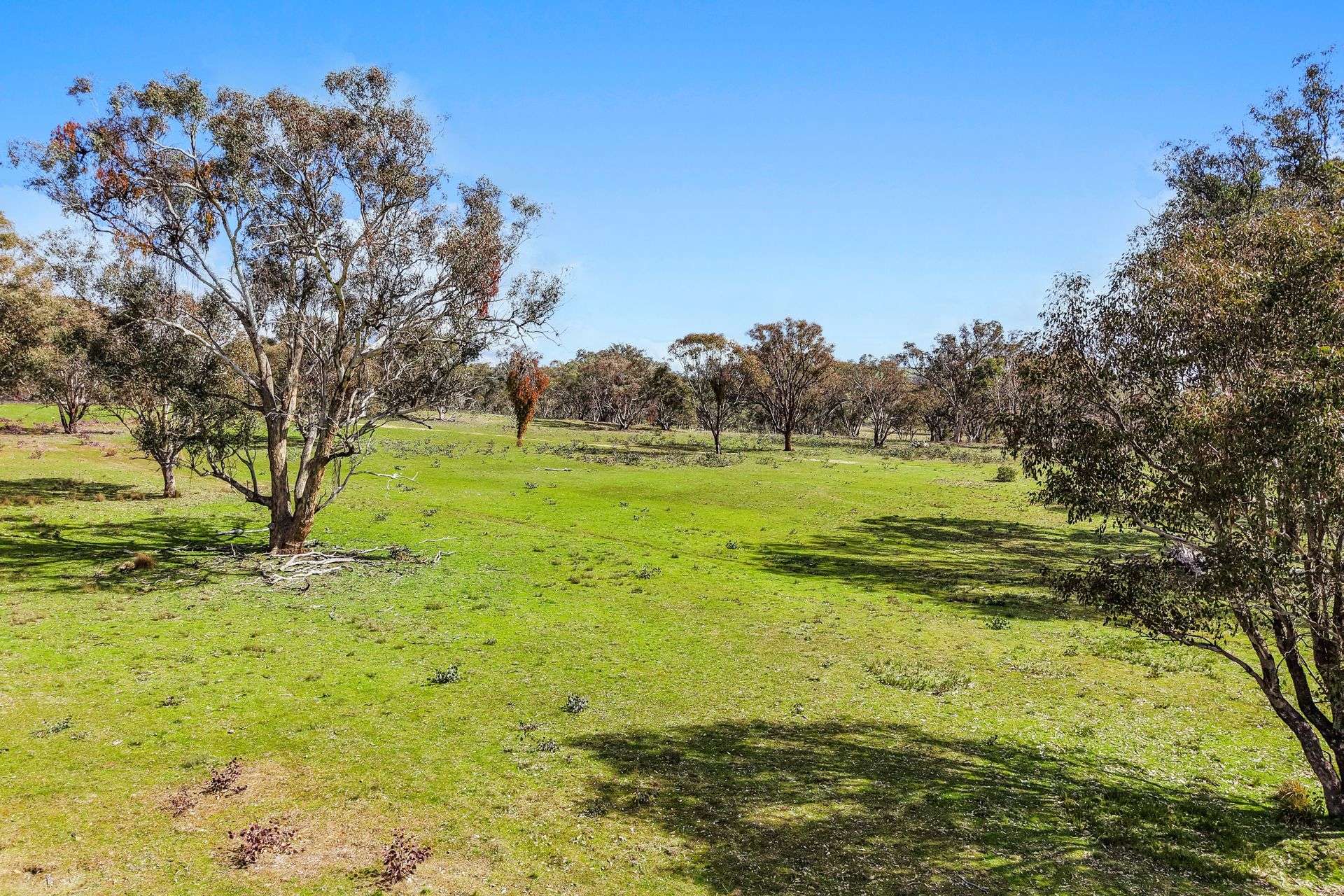 Lot 1301, Queens Pinch Road, Mudgee For Sale by Farmbuy.com - image 11