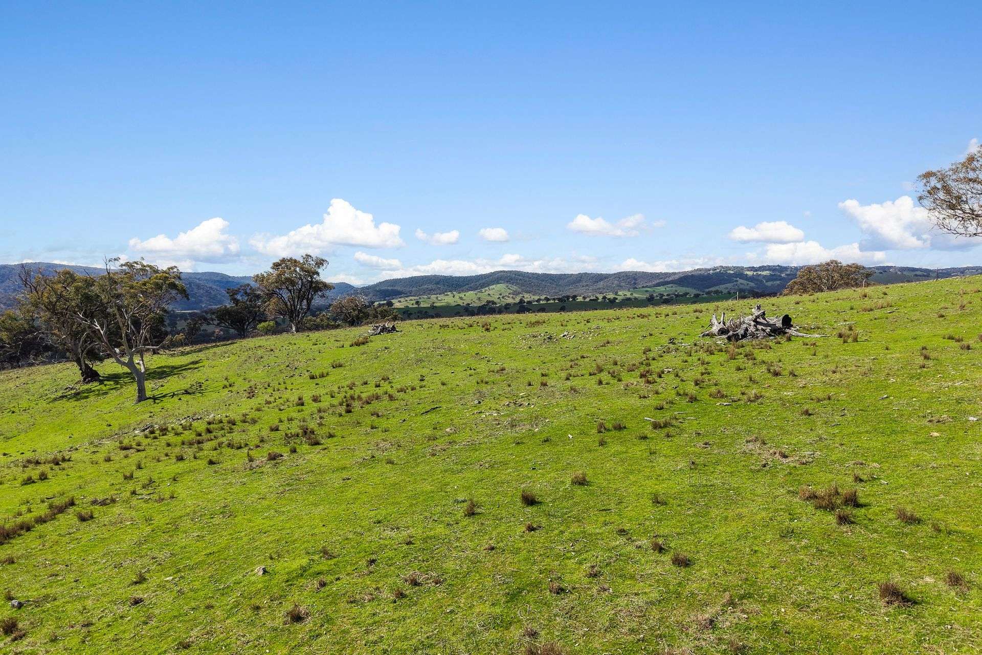 Lot 1301, Queens Pinch Road, Mudgee For Sale by Farmbuy.com - image 12