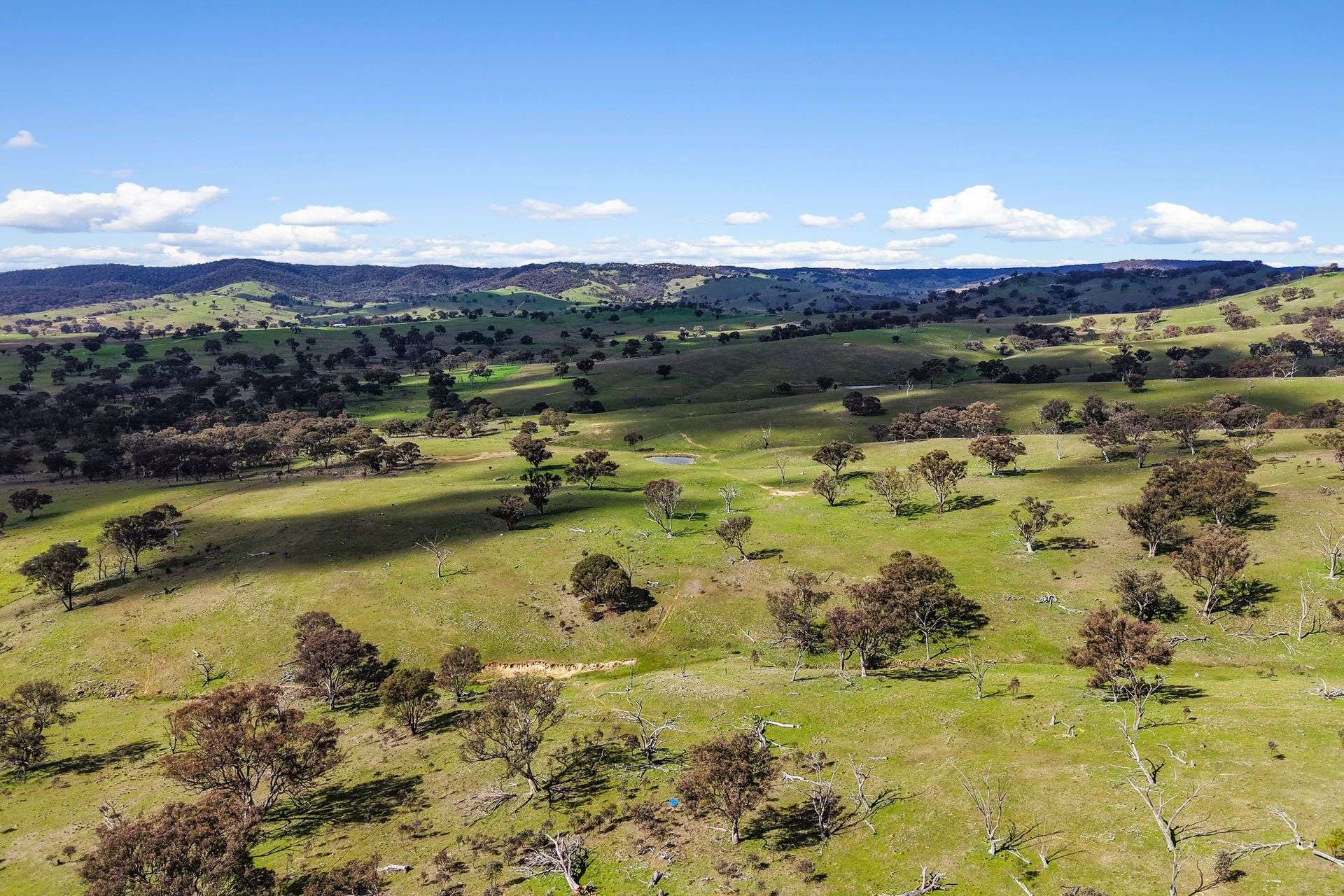 Lot 1301, Queens Pinch Road, Mudgee For Sale by Farmbuy.com - image 4