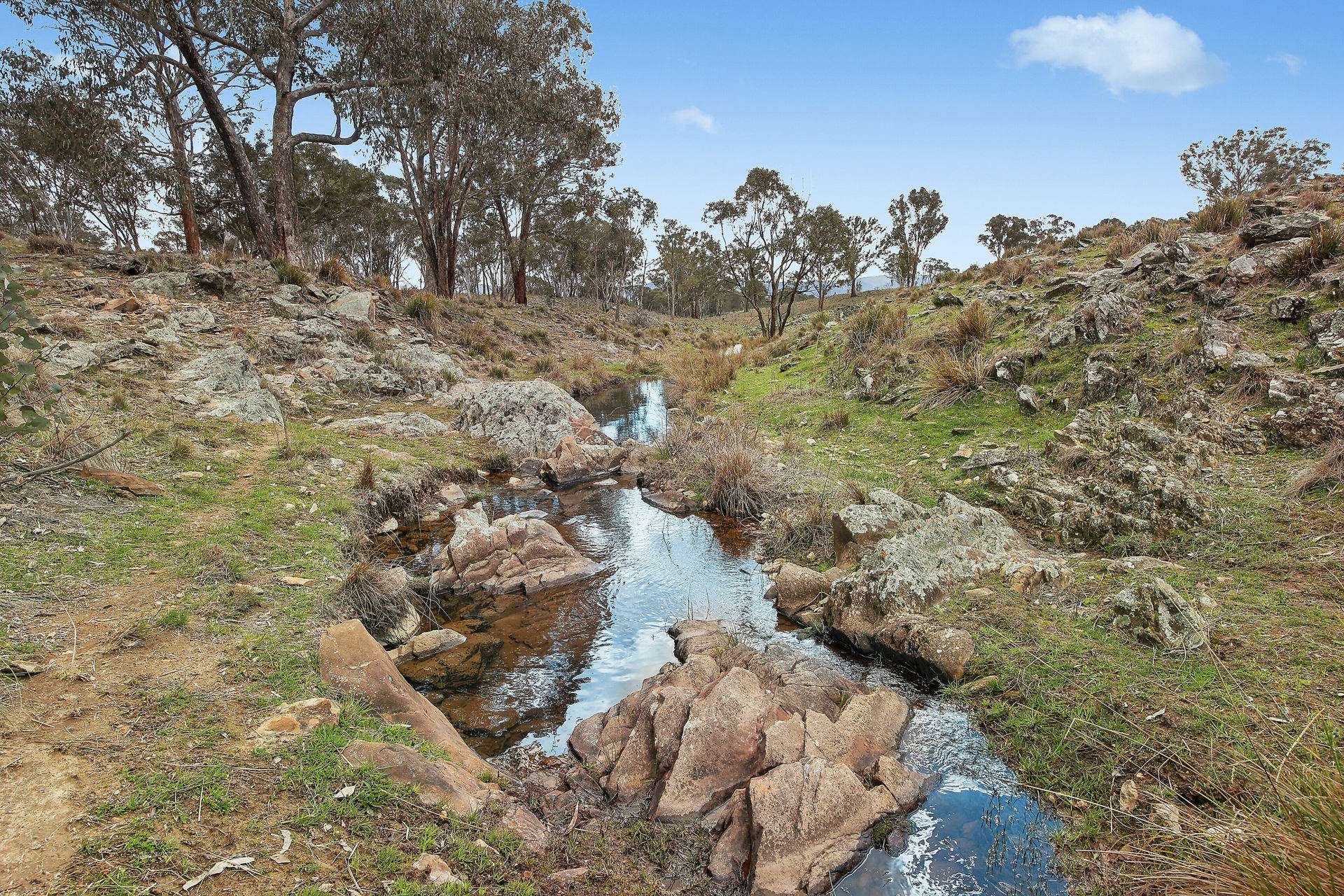 Lot 1301, Queens Pinch Road, Mudgee For Sale by Farmbuy.com - image 7