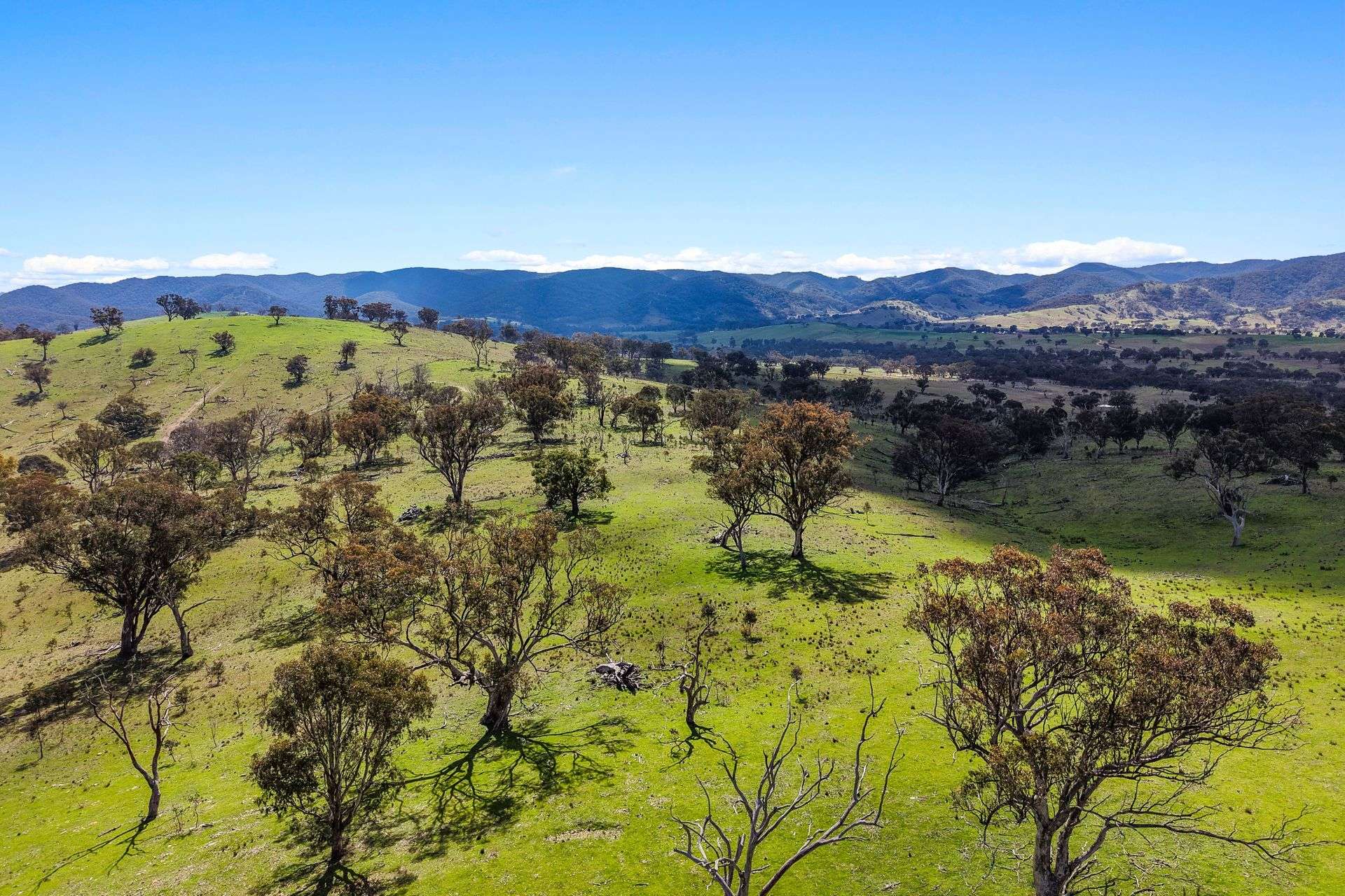 Lot 1301, Queens Pinch Road, Mudgee For Sale by Farmbuy.com - image 5