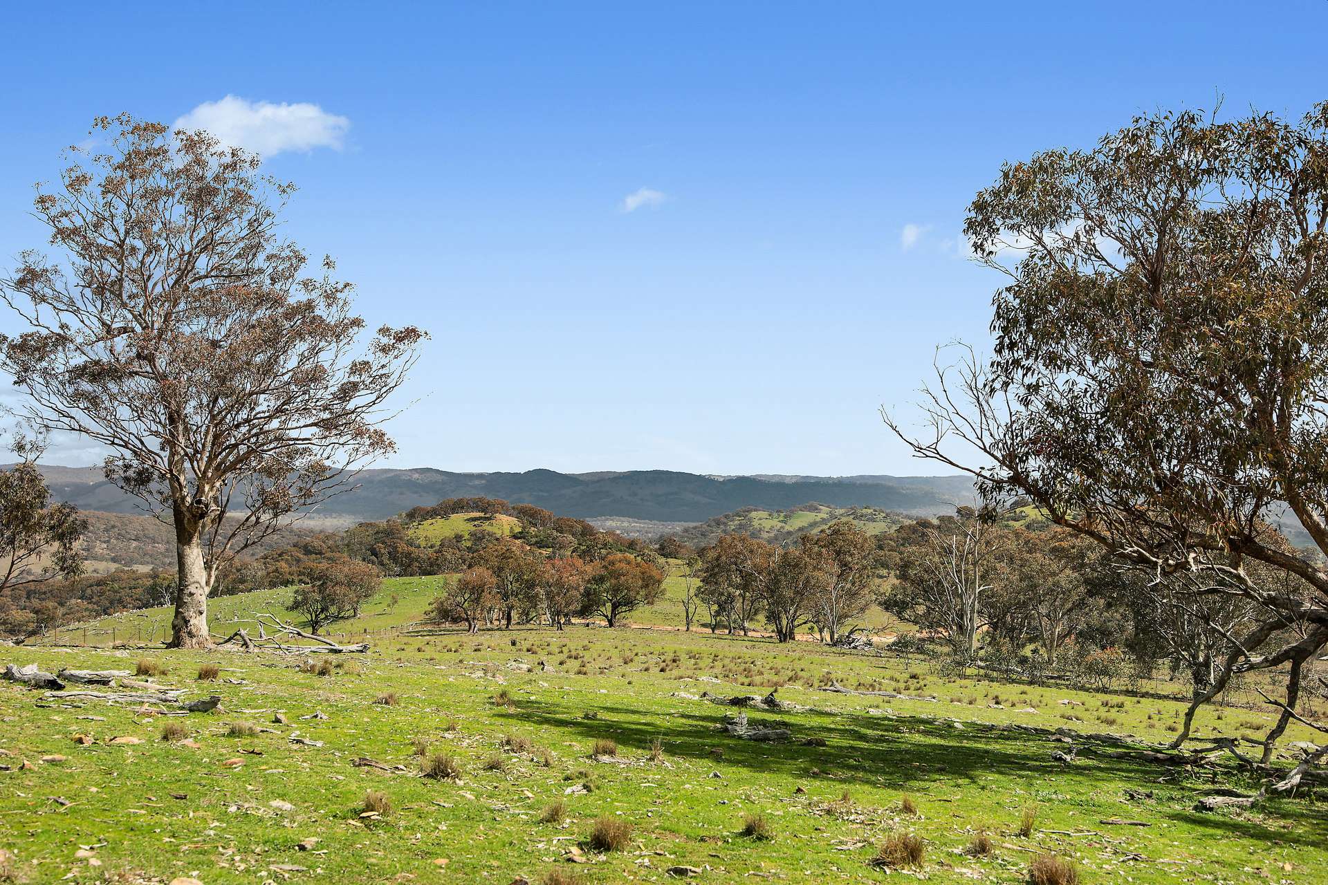 Lot 1301, Queens Pinch Road, Mudgee For Sale by Farmbuy.com - image 1