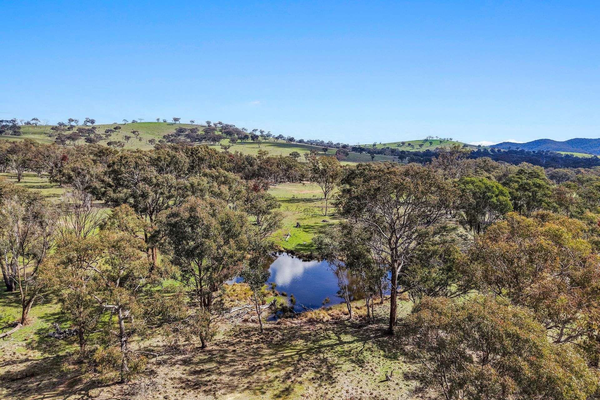 Lot 1301, Queens Pinch Road, Mudgee For Sale by Farmbuy.com - image 6