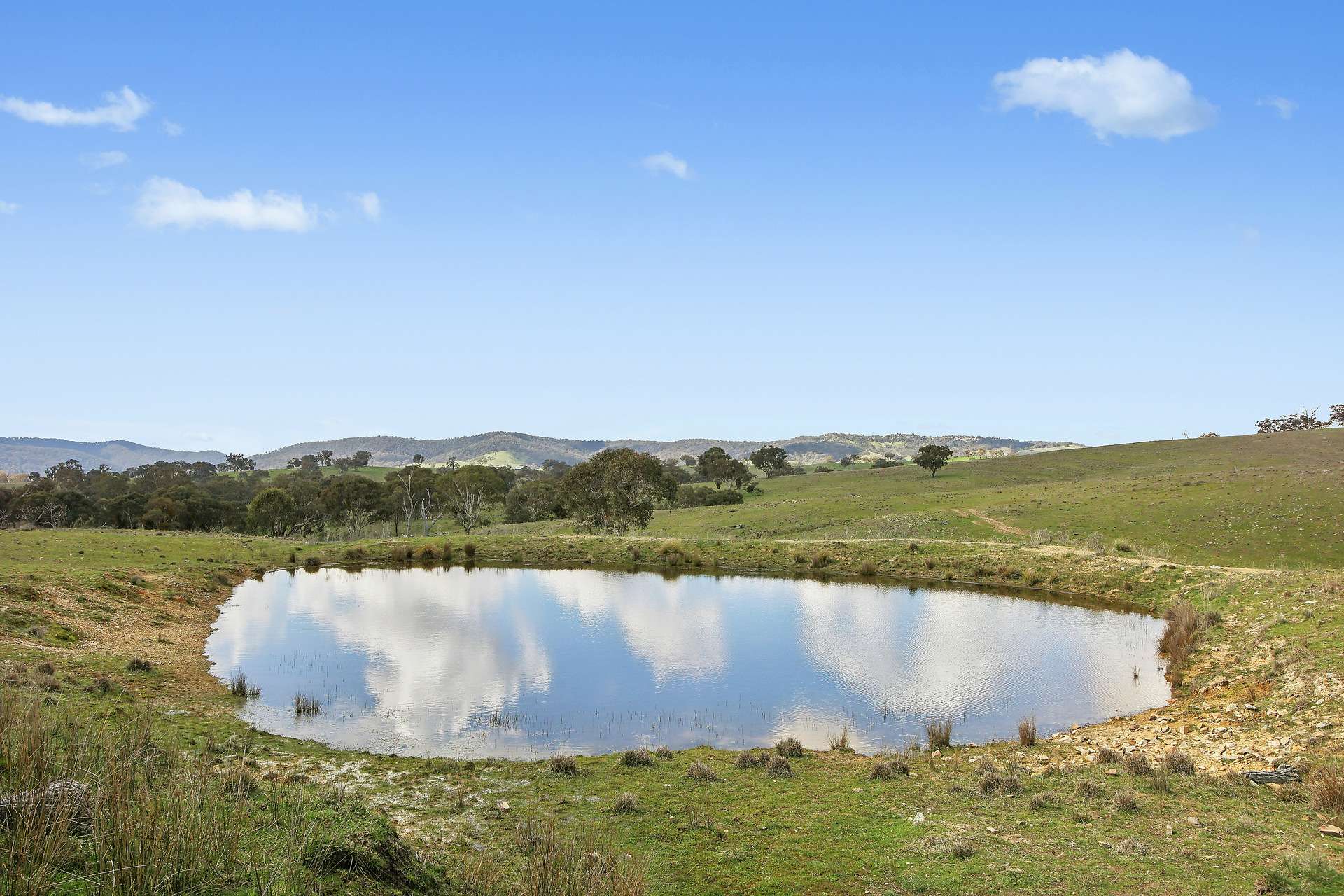 Lot 1301, Queens Pinch Road, Mudgee For Sale by Farmbuy.com - image 8