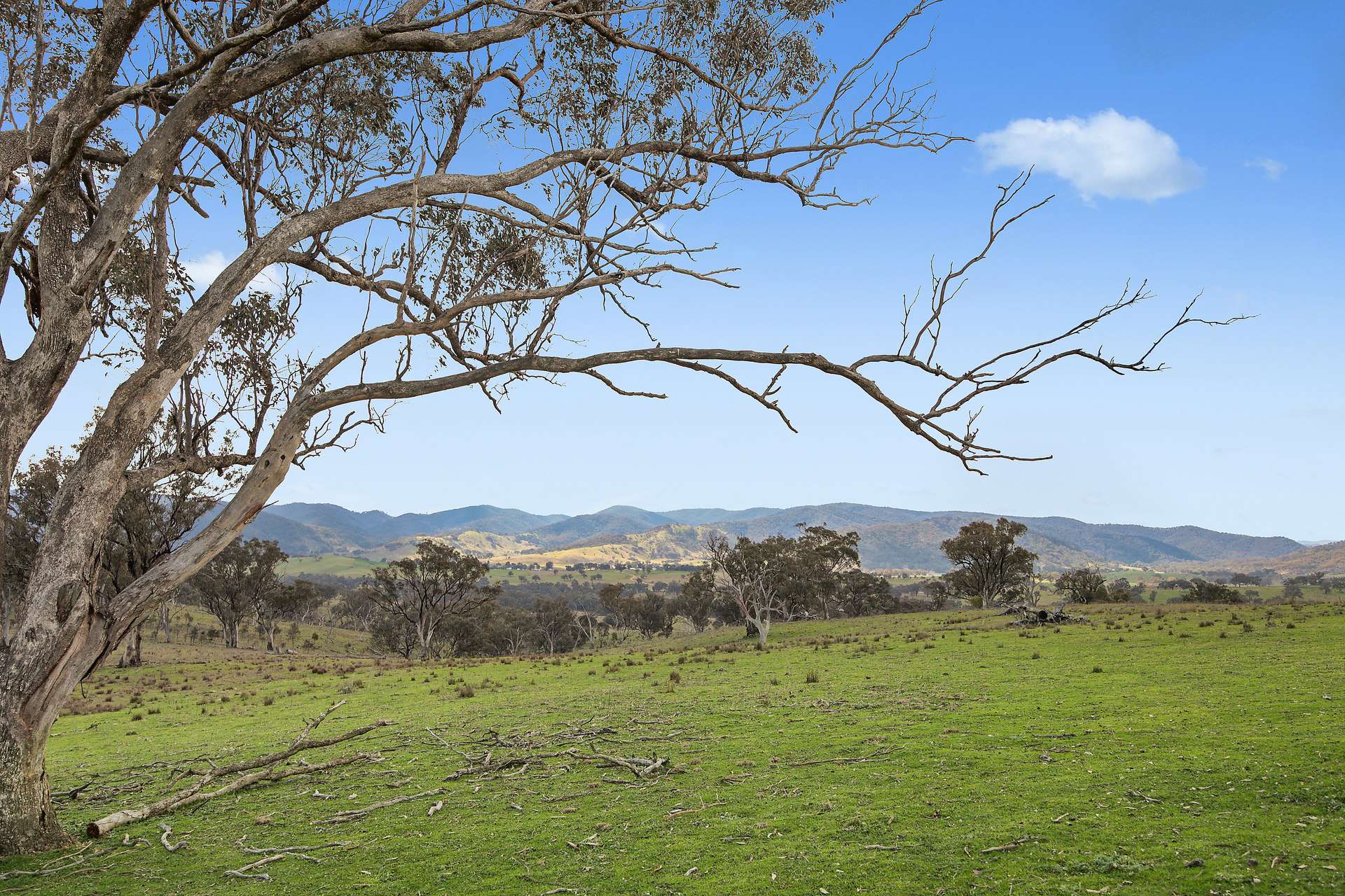 Lot 1301, Queens Pinch Road, Mudgee For Sale by Farmbuy.com - image 10