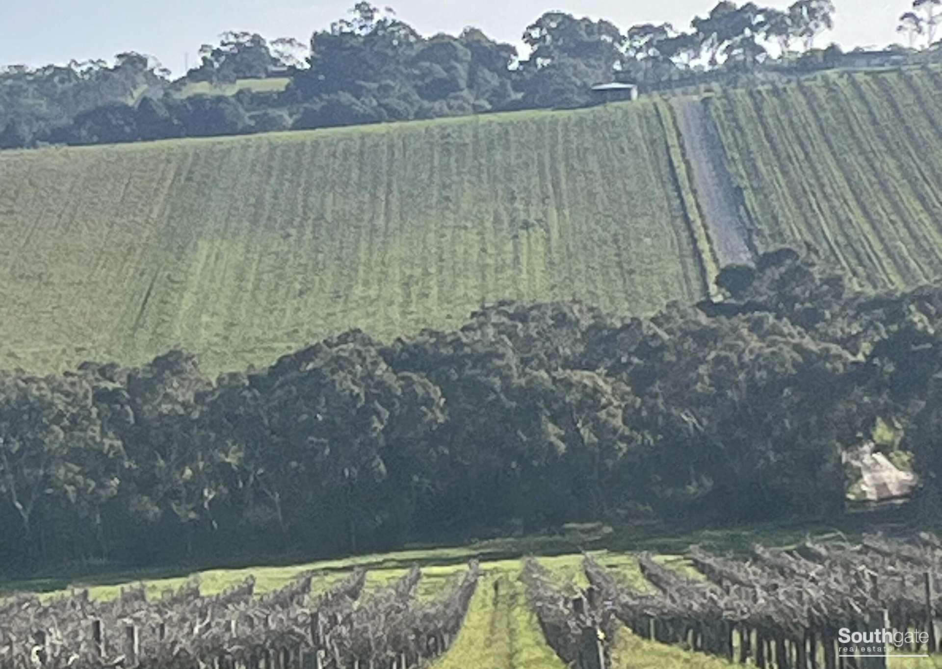 Lot 15, 167 Whitings Road, Blewitt Springs For Sale by Farmbuy.com - image 7