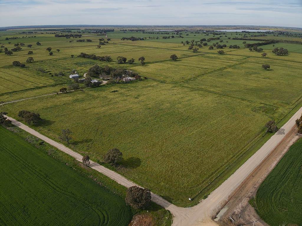 149 Walker Road, Dingwall VIC 3579
