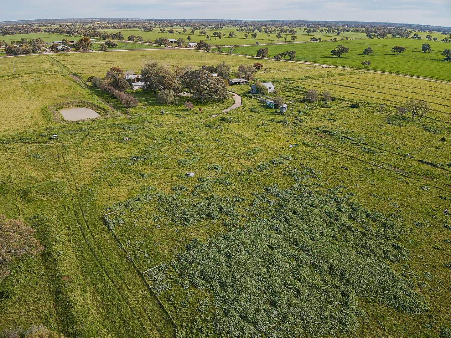 149 Walker Road, Dingwall For Sale by Farmbuy.com - image 5