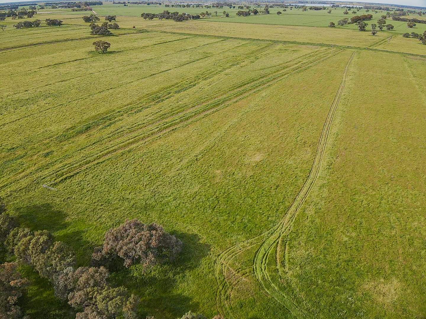 149 Walker Road, Dingwall For Sale by Farmbuy.com - image 3