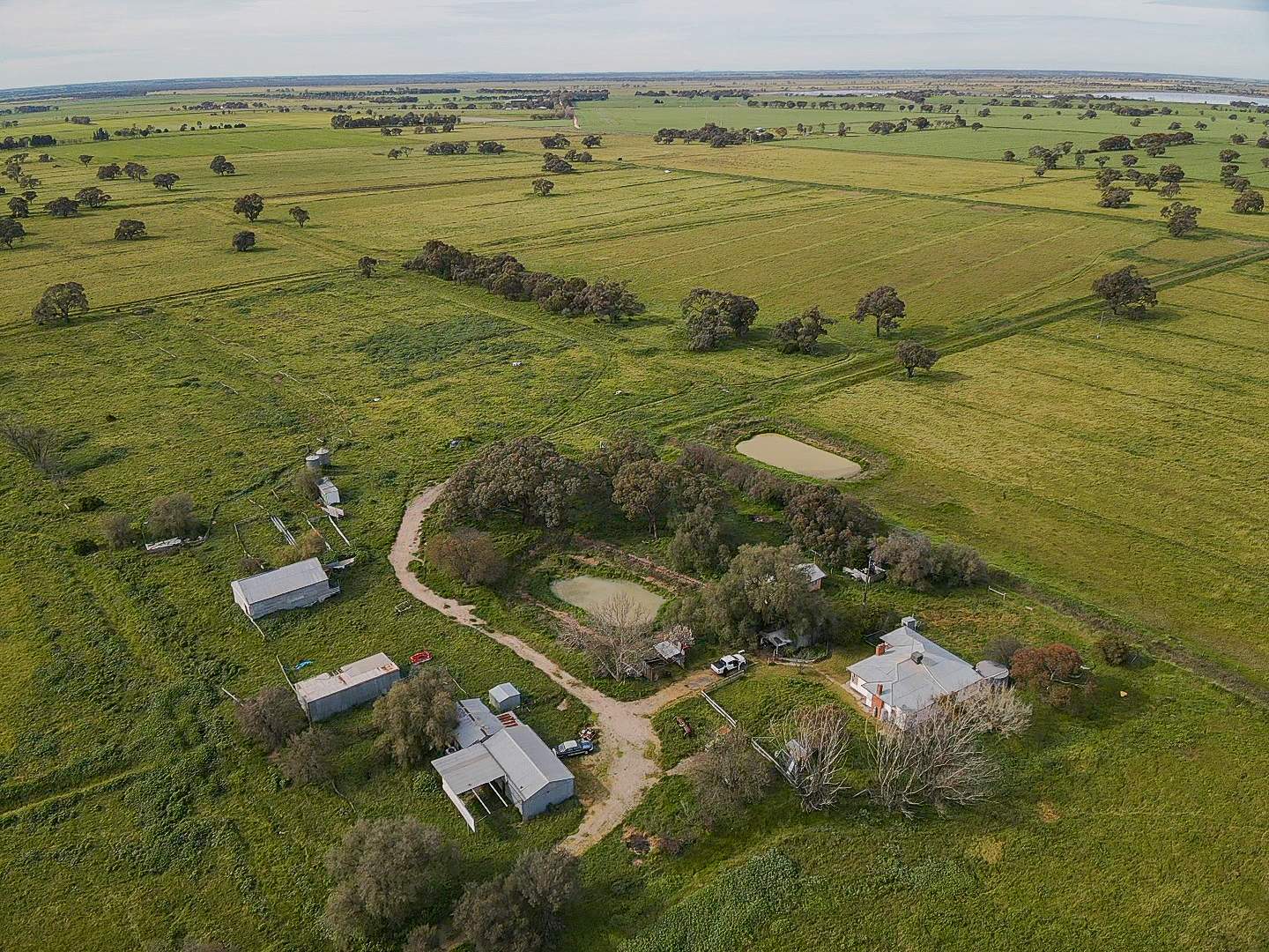 149 Walker Road, Dingwall For Sale by Farmbuy.com - image 13