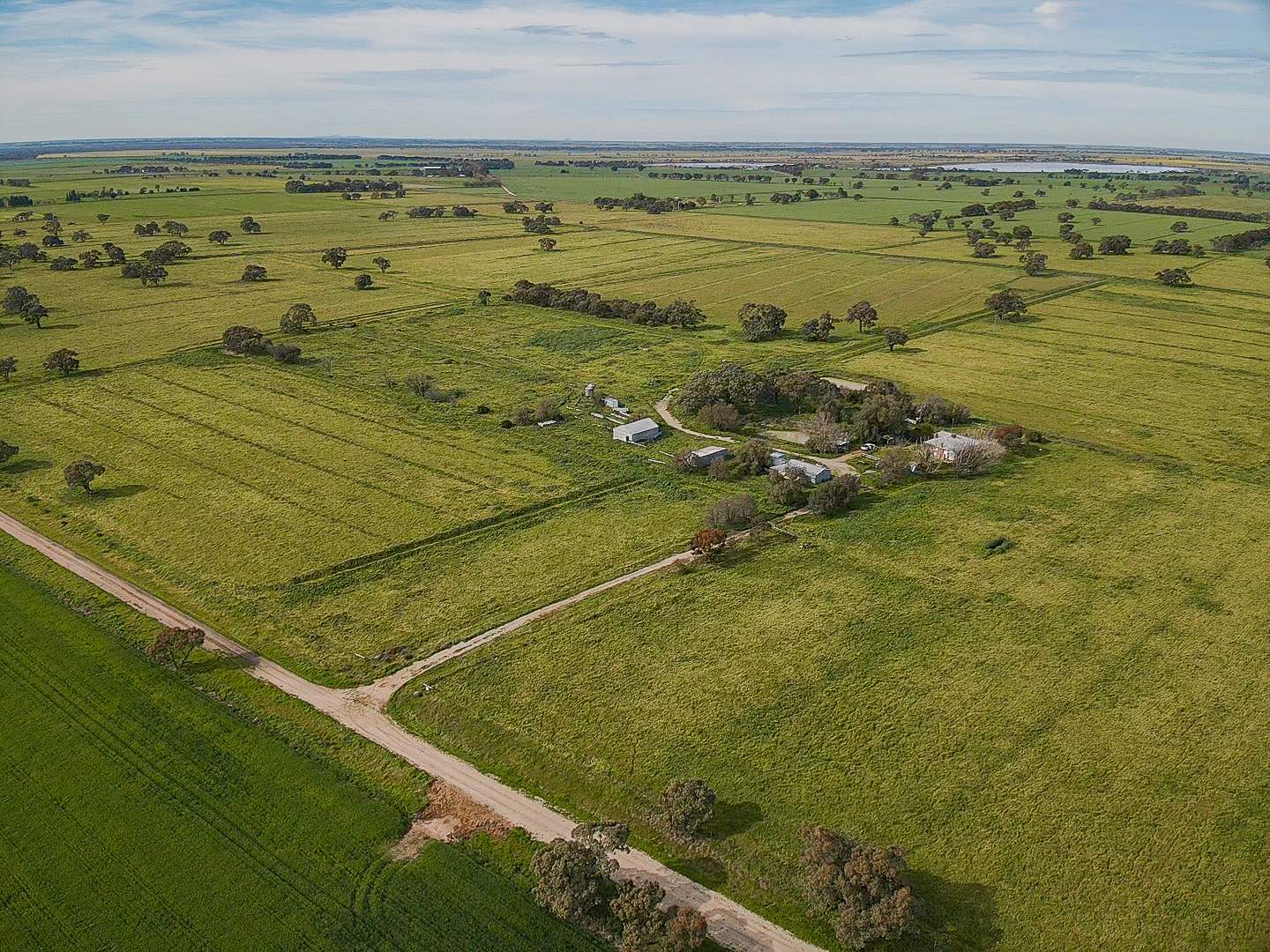 149 Walker Road, Dingwall For Sale by Farmbuy.com - image 10