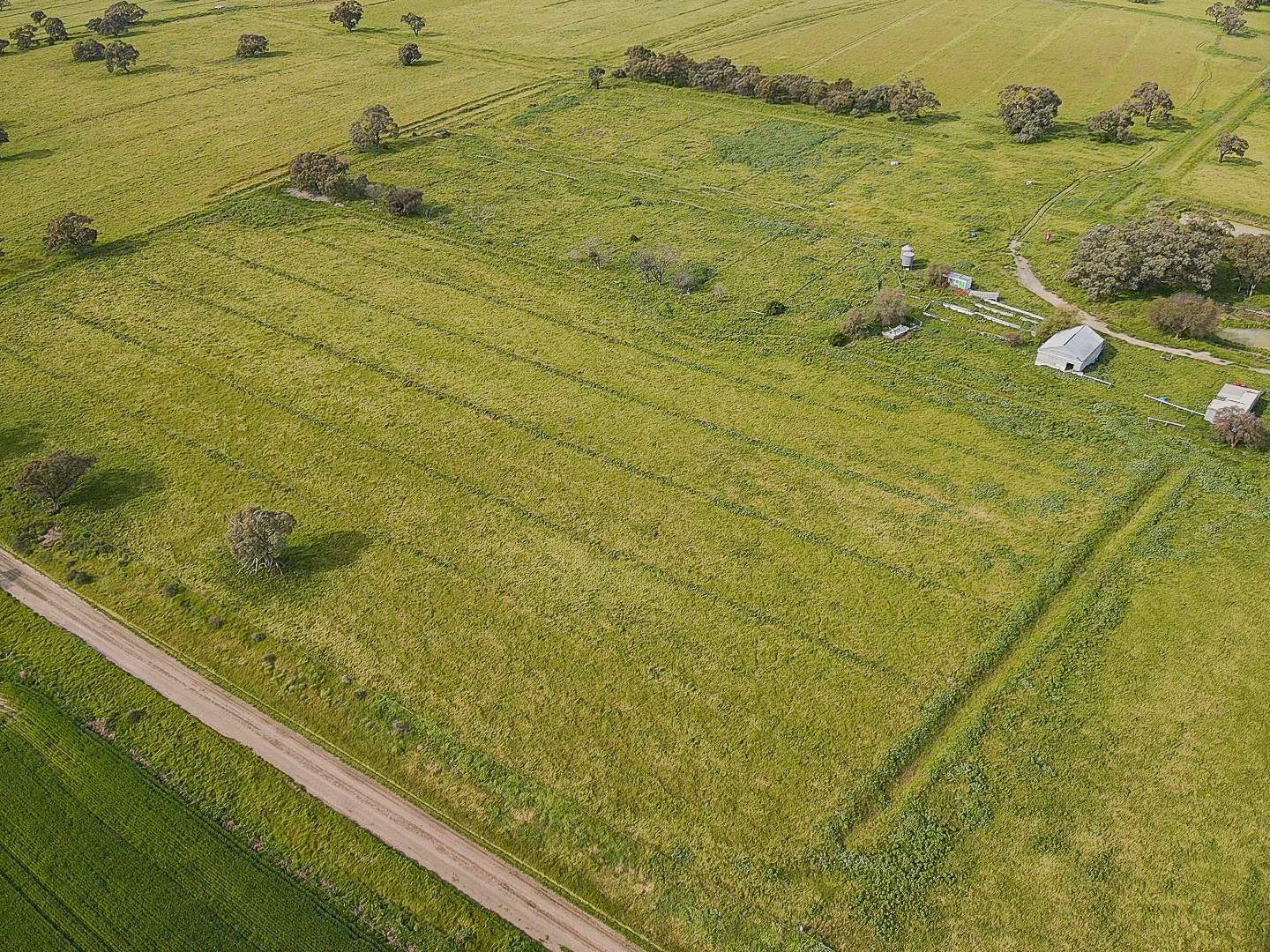 149 Walker Road, Dingwall For Sale by Farmbuy.com - image 11
